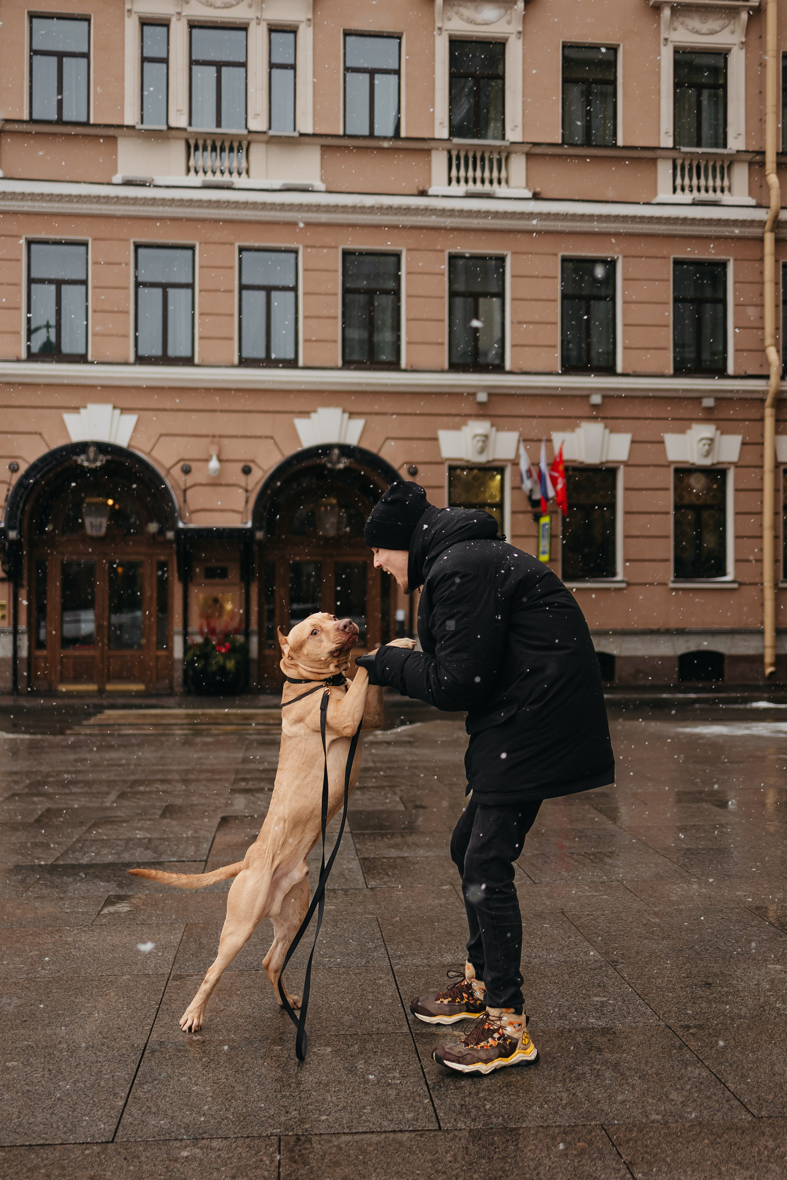 Саша, Света и Ицар. Фотограф-анималист в Санкт-Петербурге Алина Яхонт