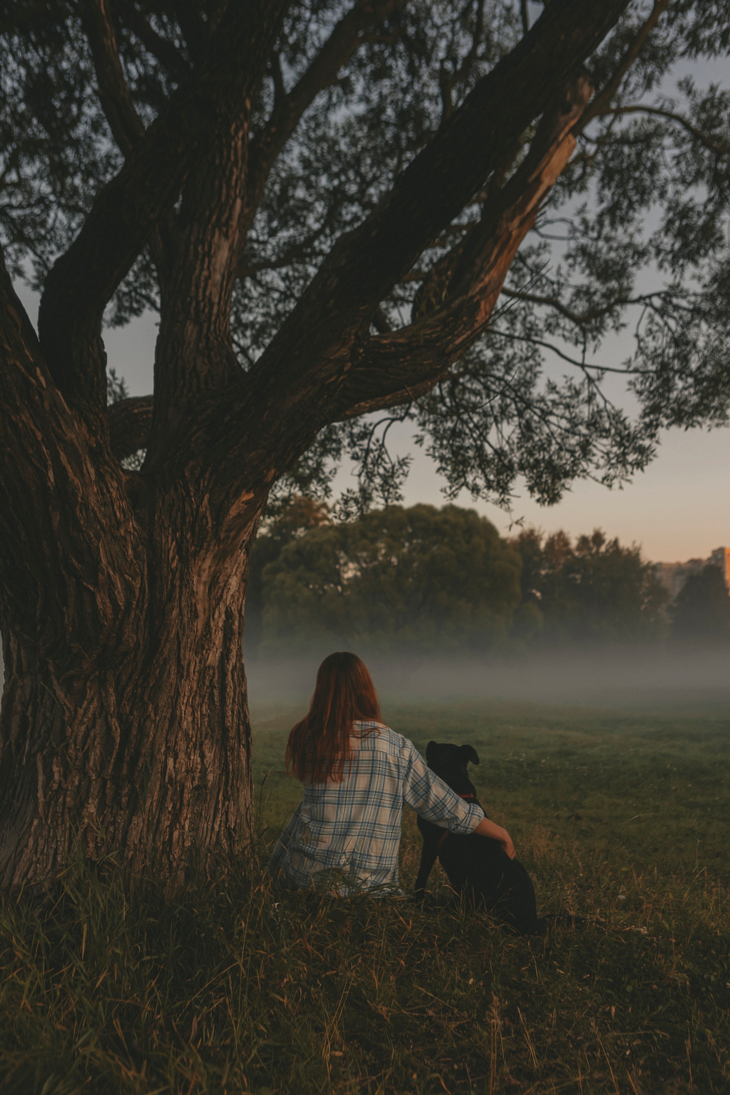 Саша и Дана. Фотограф-анималист в Санкт-Петербурге Алина Яхонт