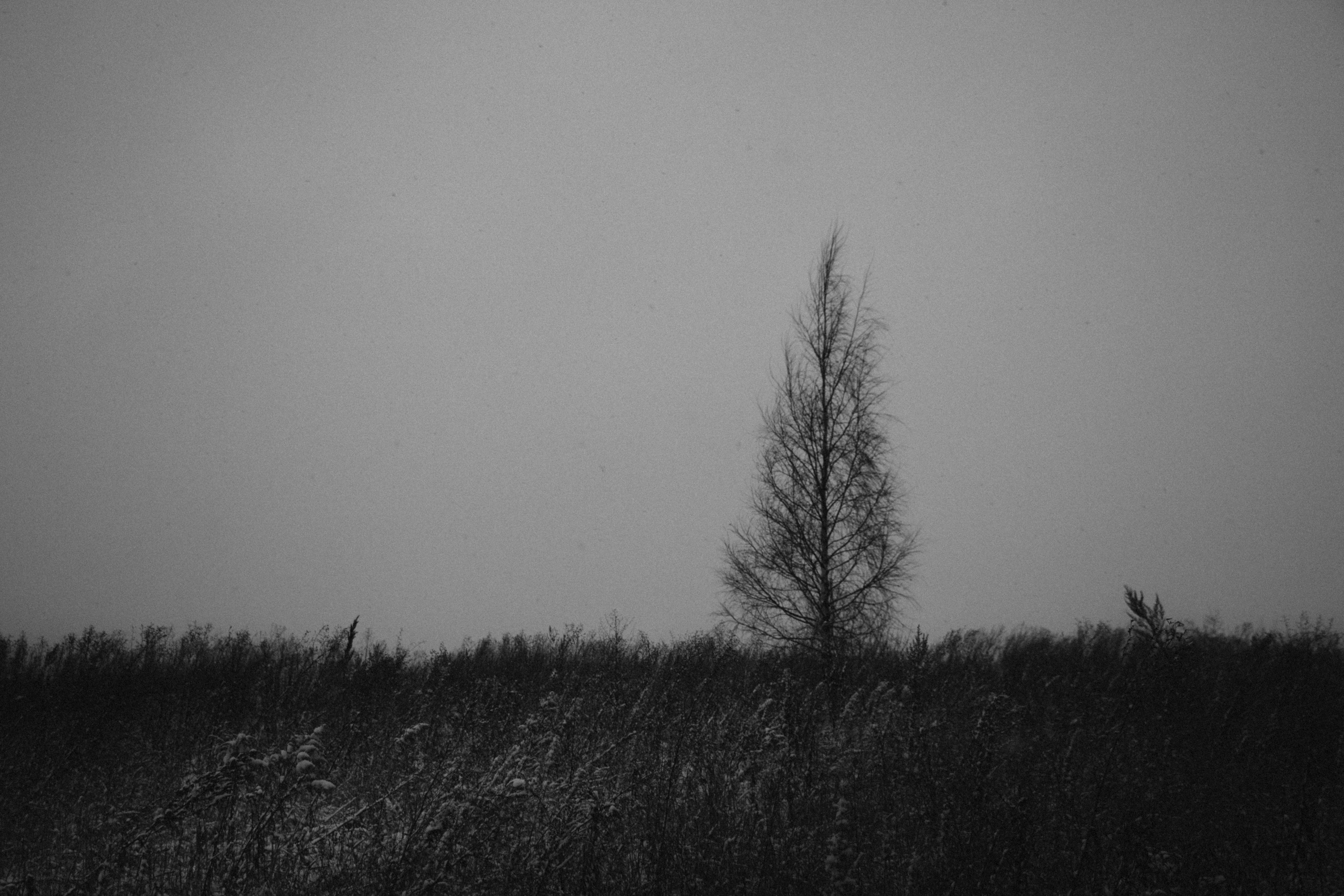 Интимный пейзаж. Олег Романов. Мастер фото по спорту