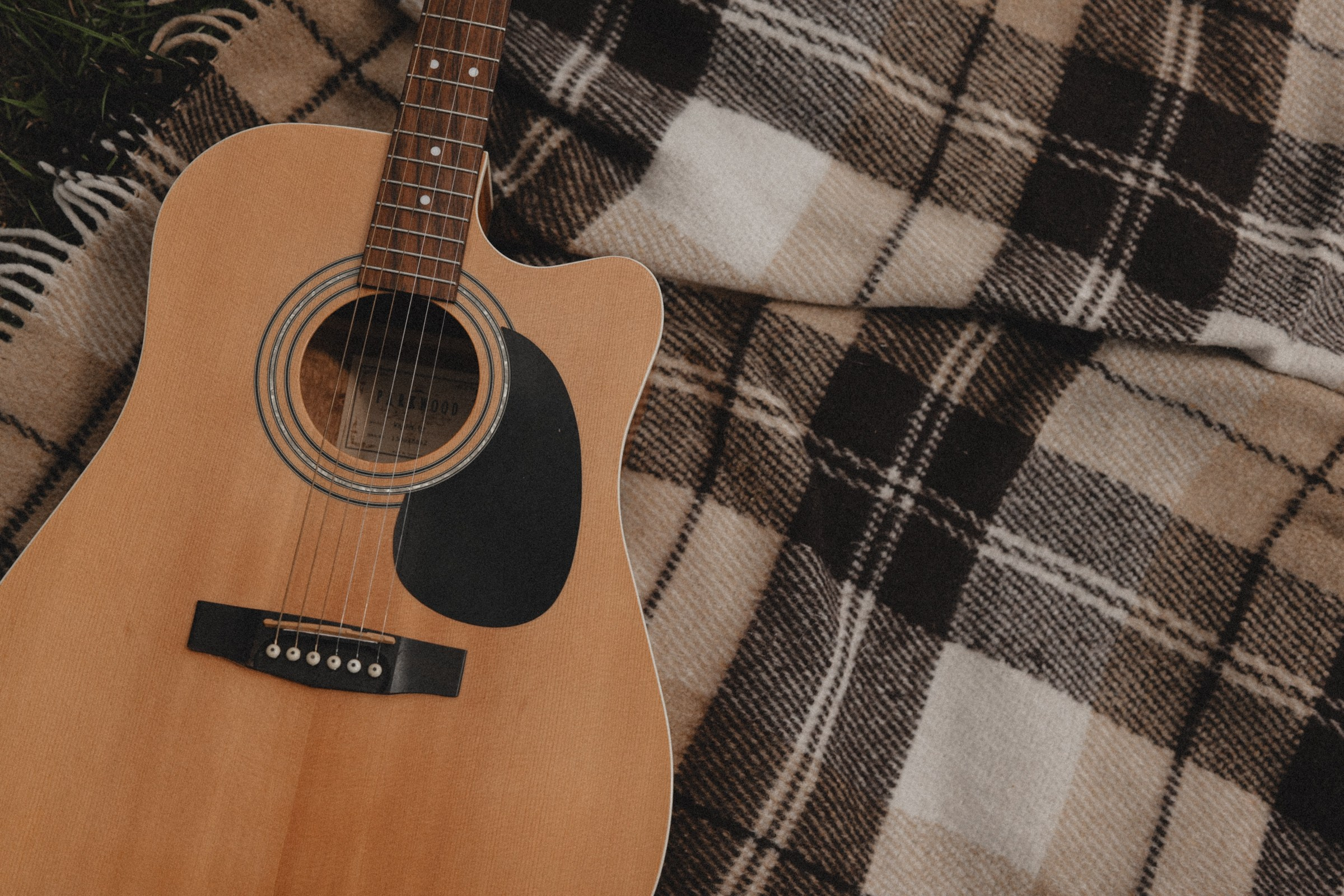 МУЗЫКАНТЫ. Свадебный фотограф в Ярославле Илья Жуков