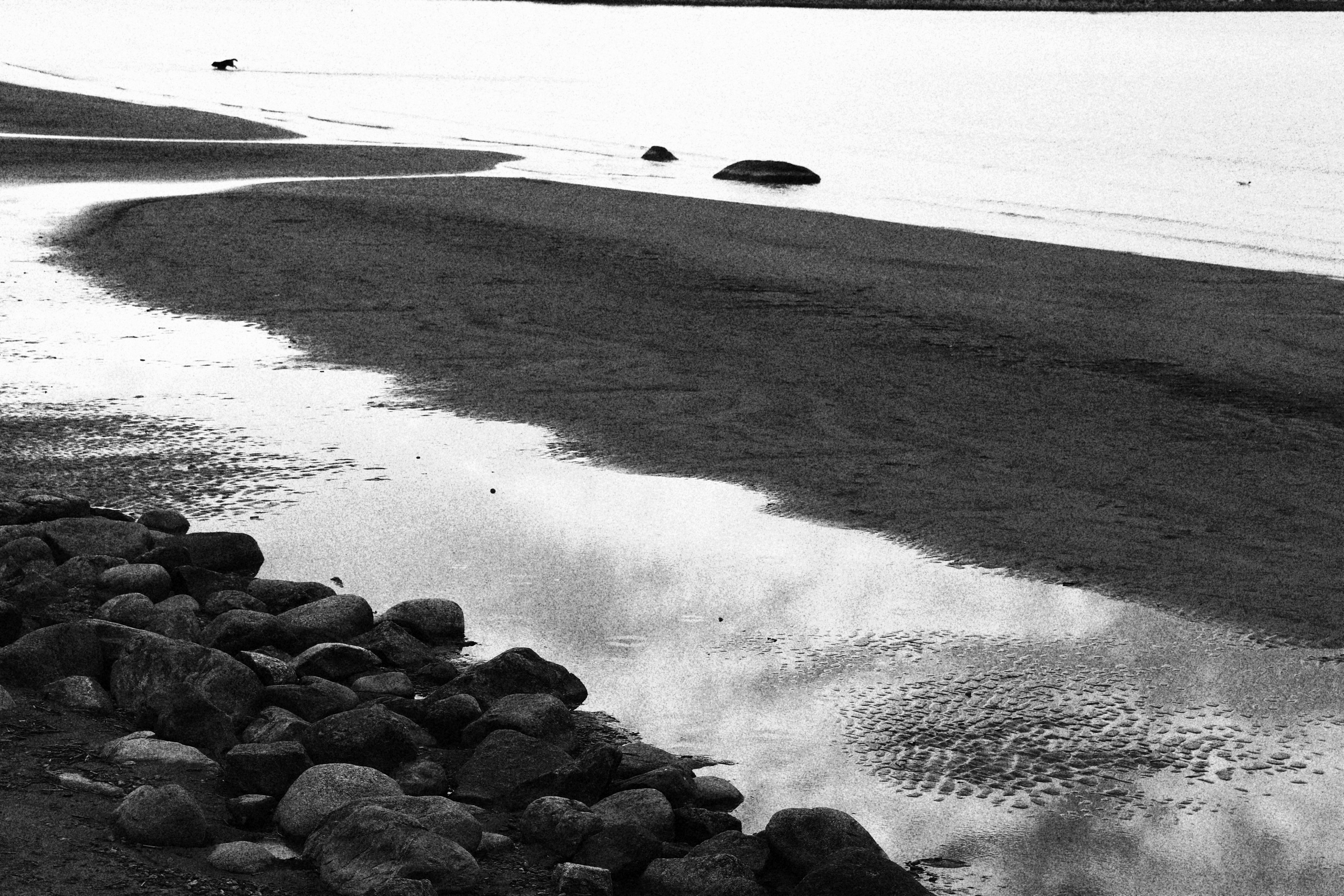 Tallinn. Juliarubis.com