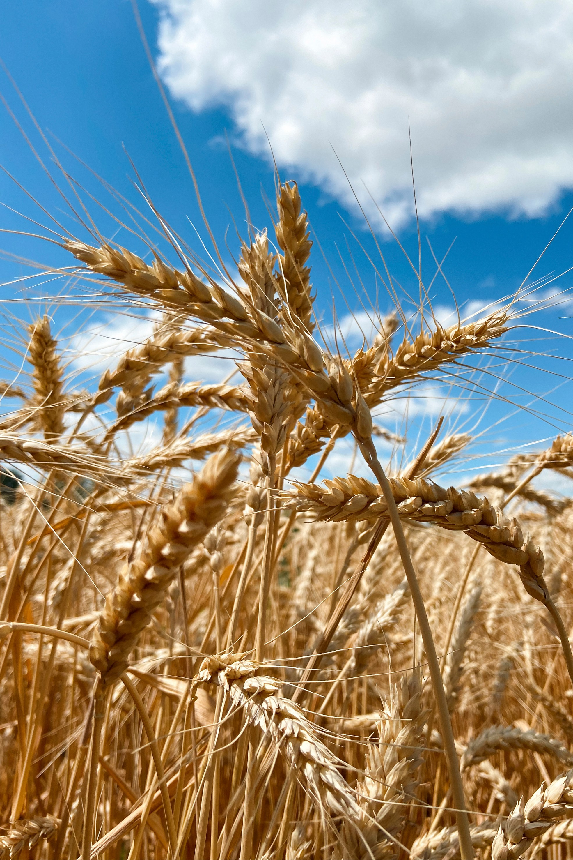 Природа. Команда фотографов Кристины Ивановой