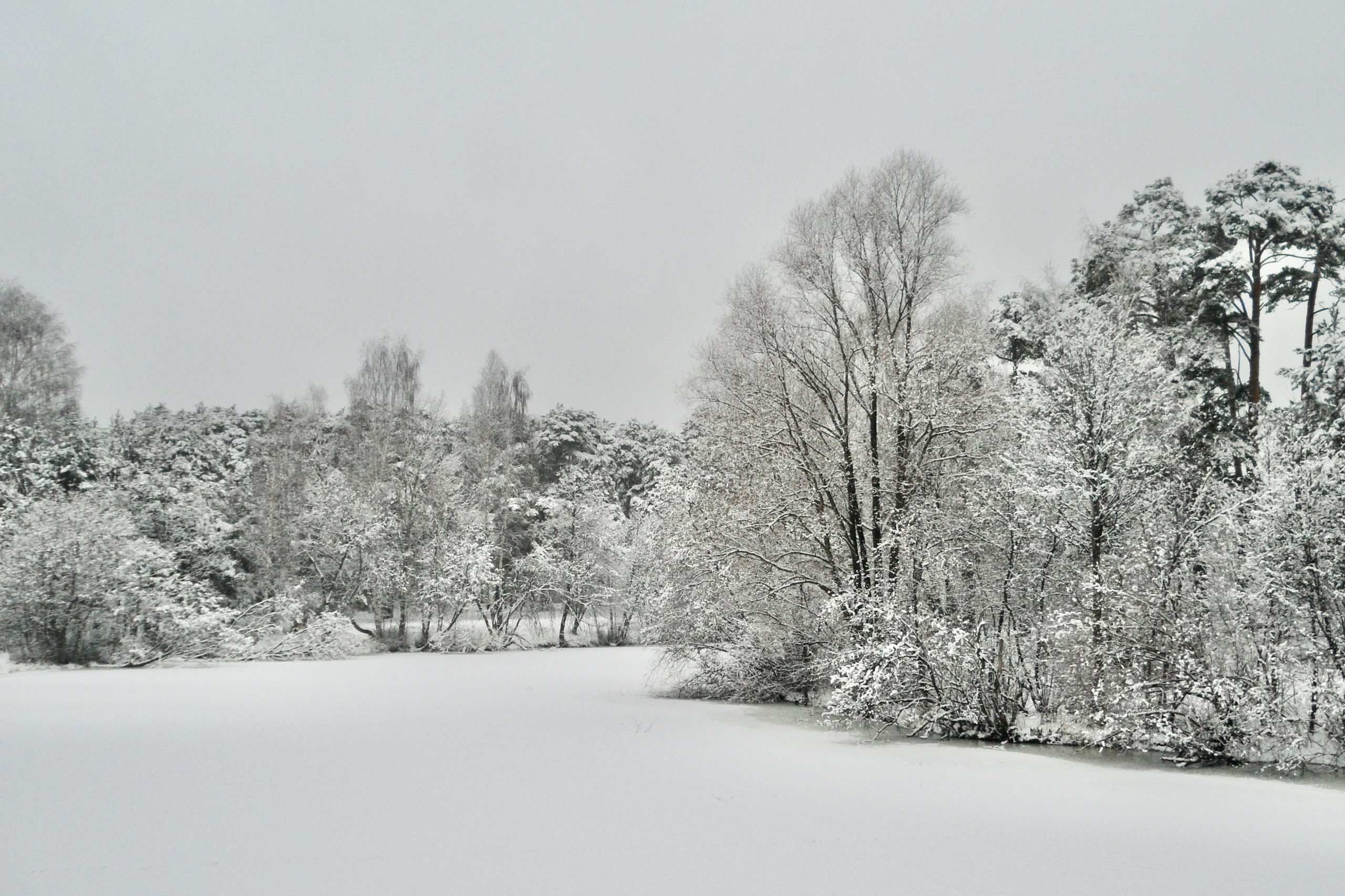 Чудесная природа. Школьные выпускные альбомы в Москве Марина Николаева