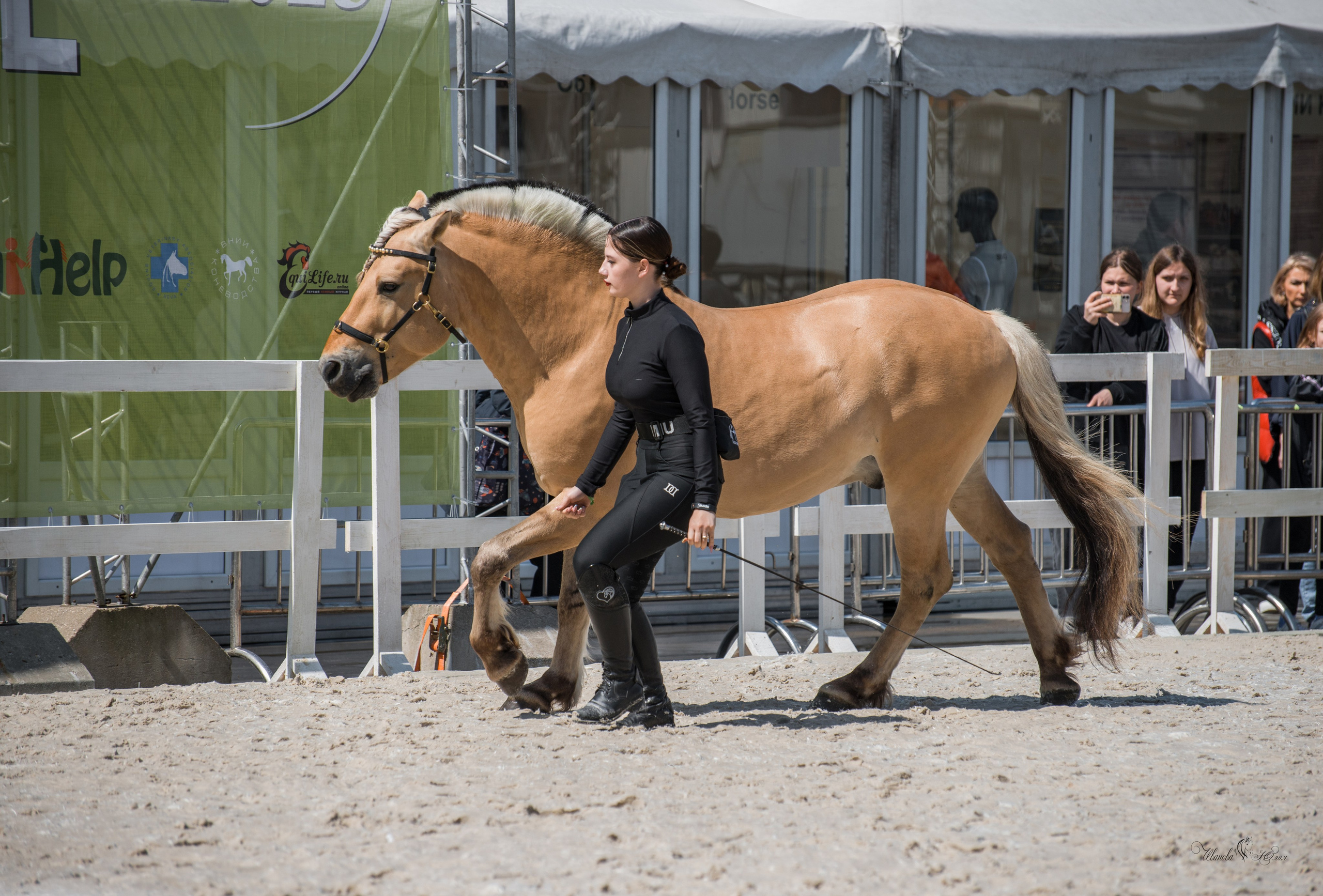 Эквирос, Москва. Конный фотограф в Саратове Юлия Иванова