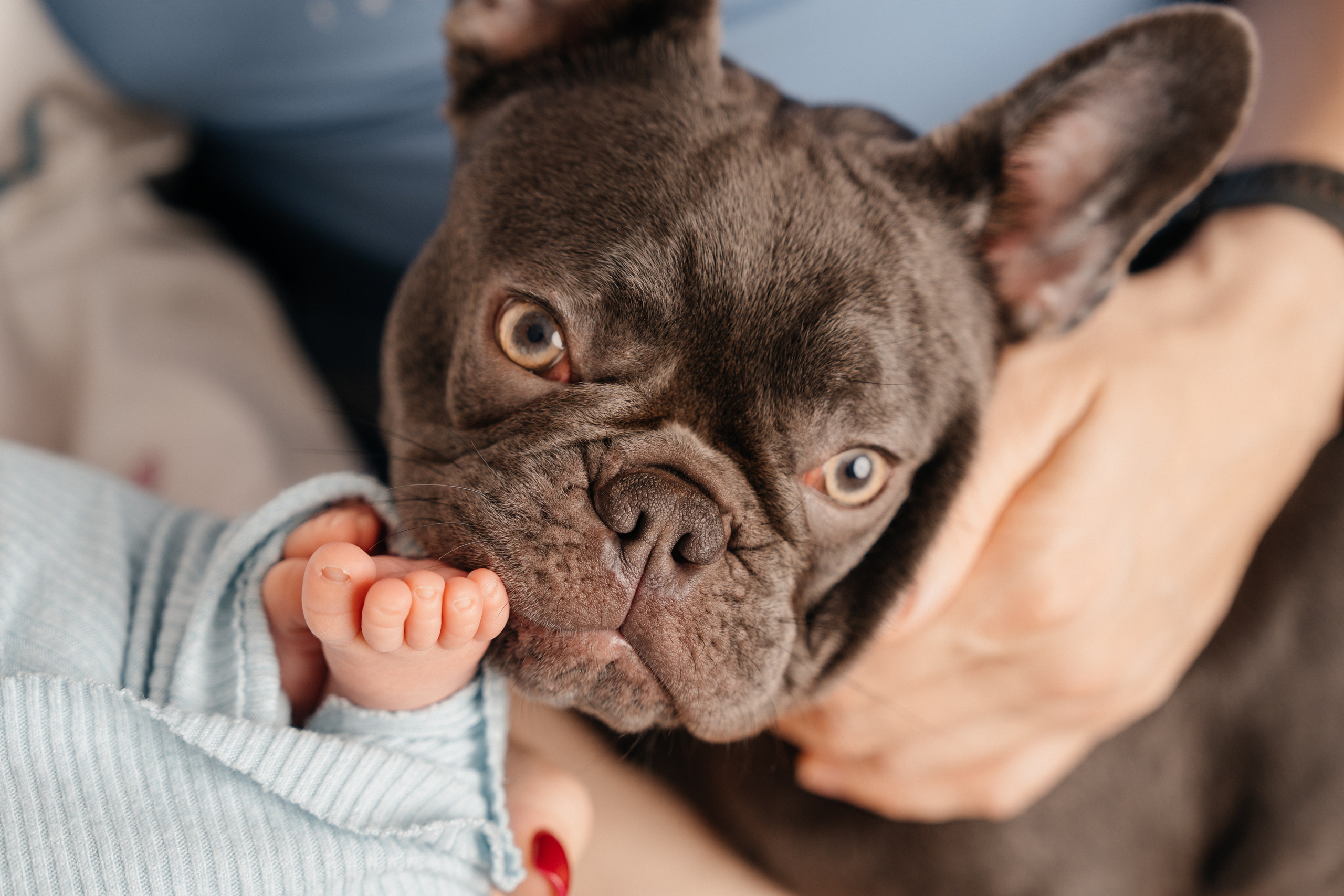Newborn. Фотограф новорожденных в Москве, Зеленограде, МО, Дмитриева Дарья