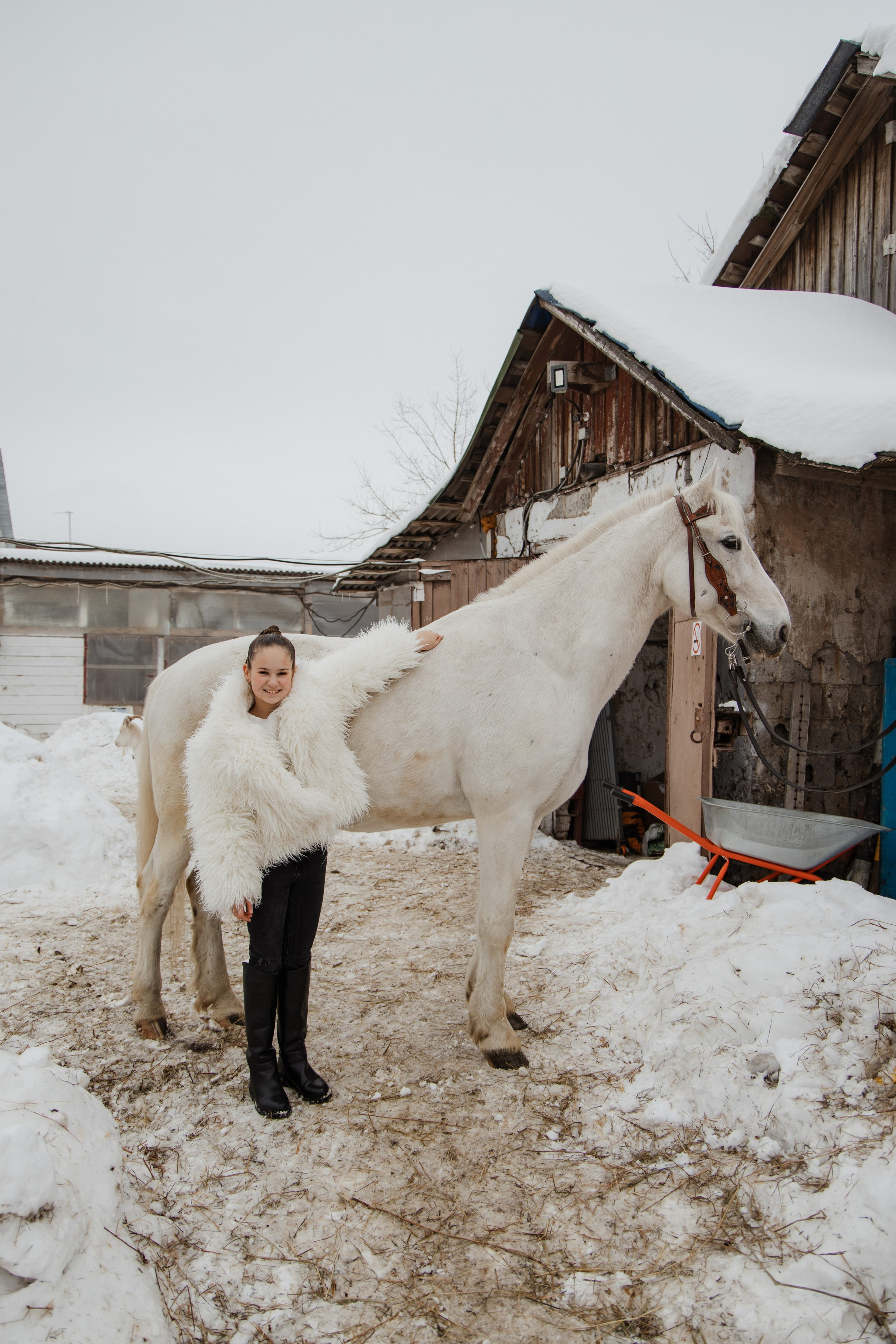 Фотосессия с Конем на Конном дворе. Свадебный фотограф в городе Подольск МО и Москва Крылова Ирина