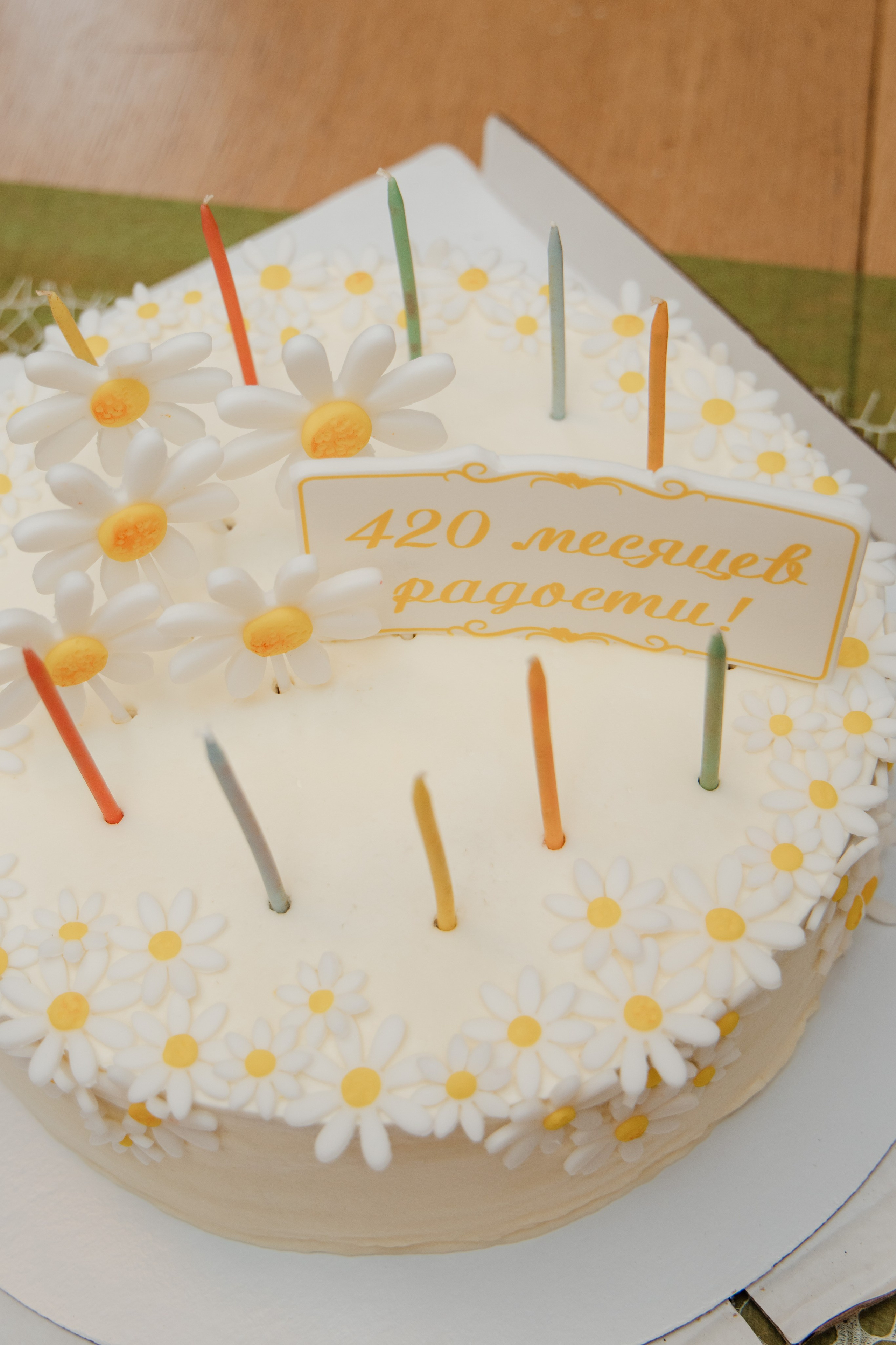 Юбилей в загородном доме. Свадебный фотограф в городе Подольск МО и Москва Крылова Ирина