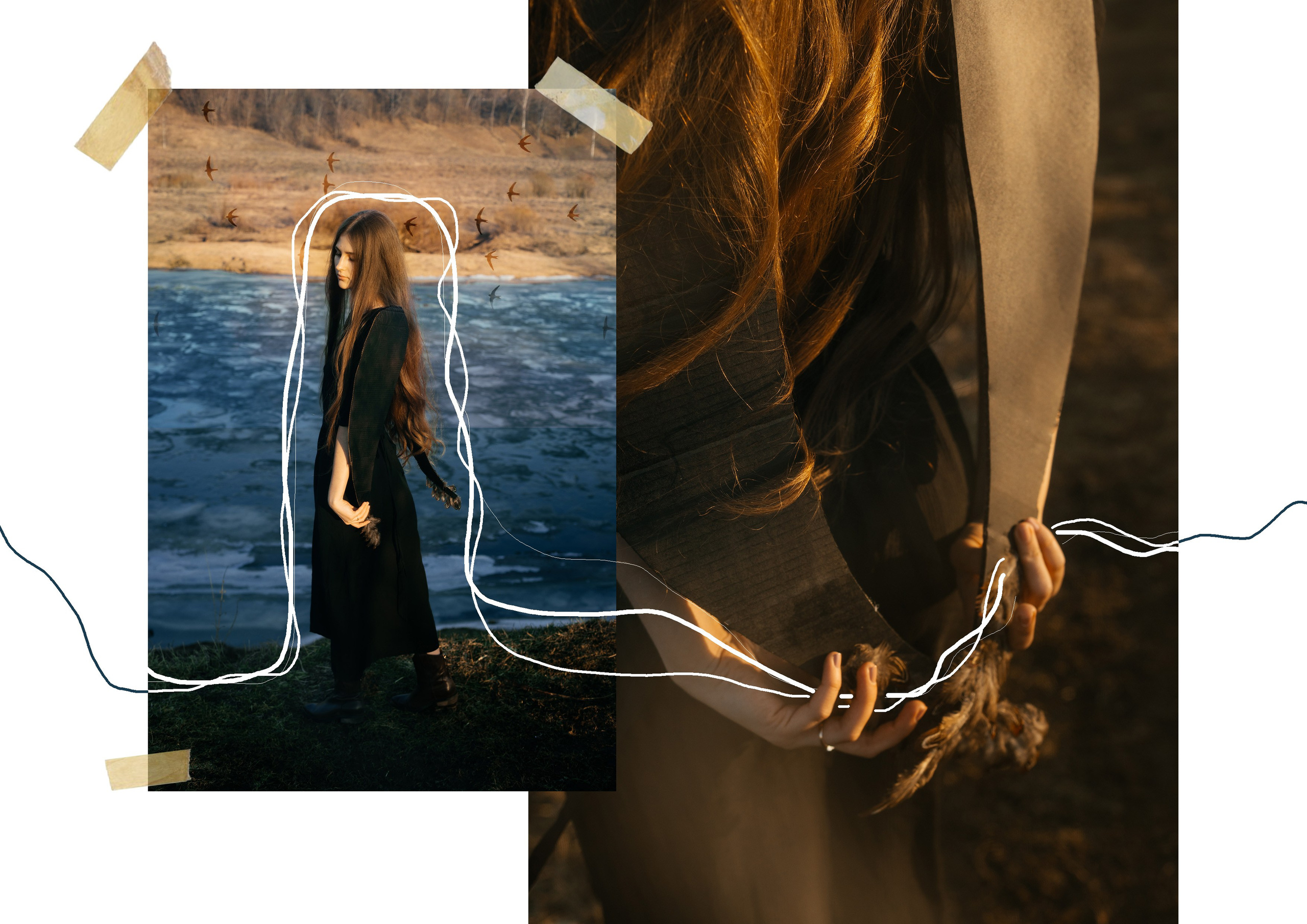 BIRD. Ваш фотограф Любовь Чистякова