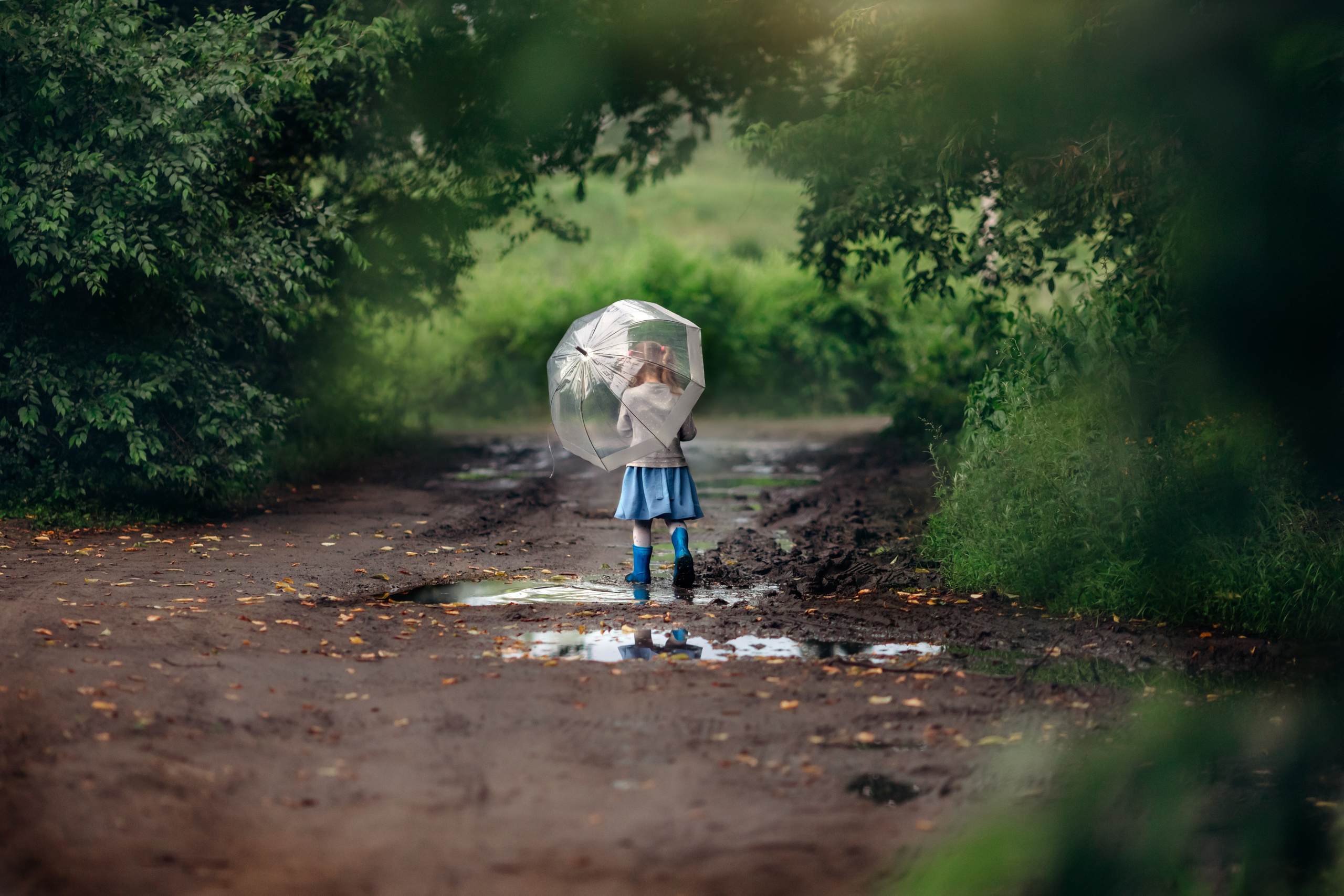 Фото. Иллюстратор, Фотограф, Теддист Ольга Сальманович