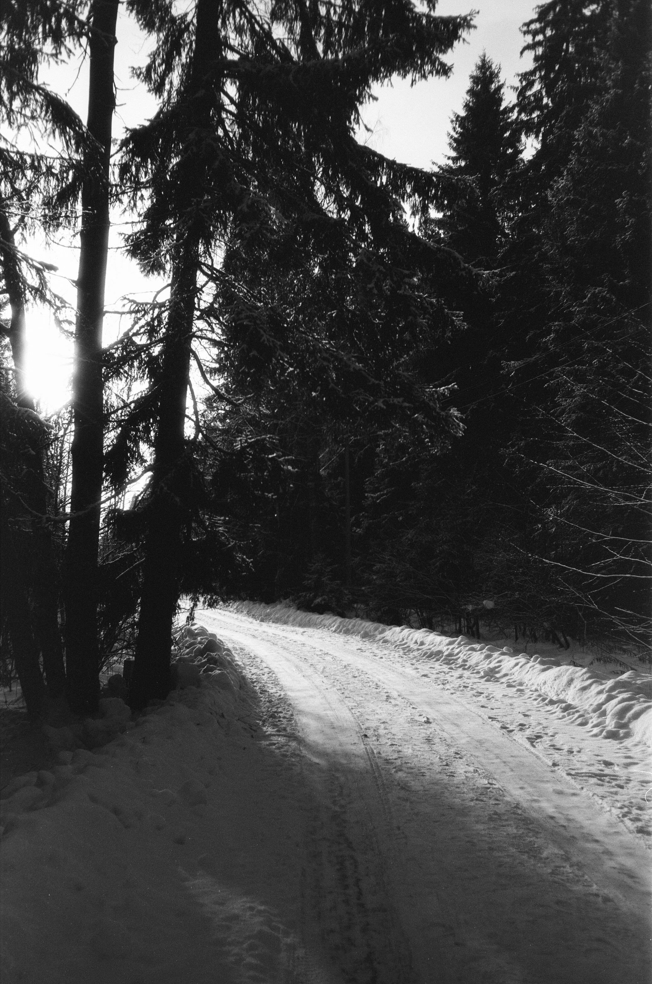 Minox 35GT / Тасма Т-25 ISO 100 / Давыдовское, Лукино