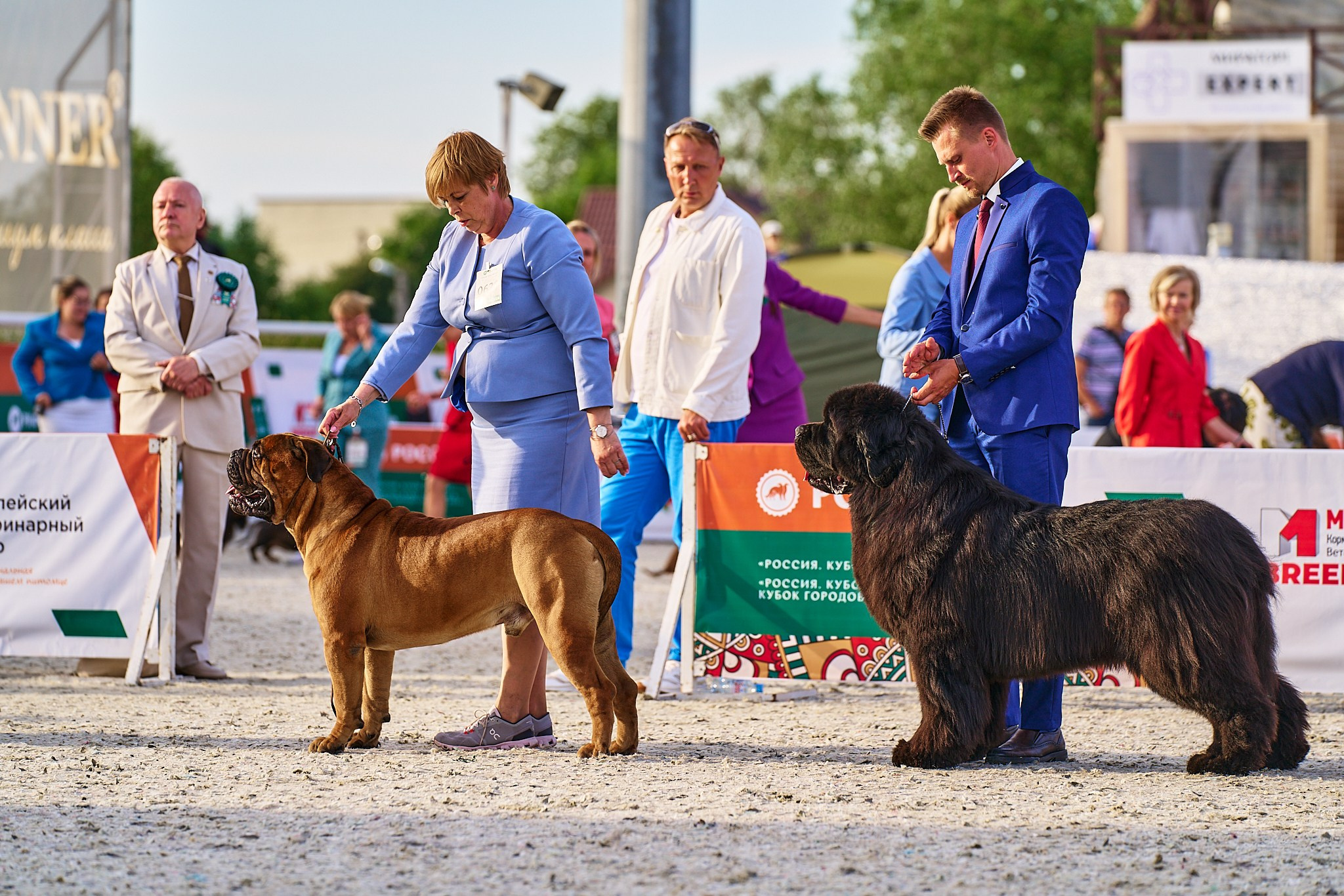 08.06.2024 «РОССИЯ. КУБОК РКФ 2024»