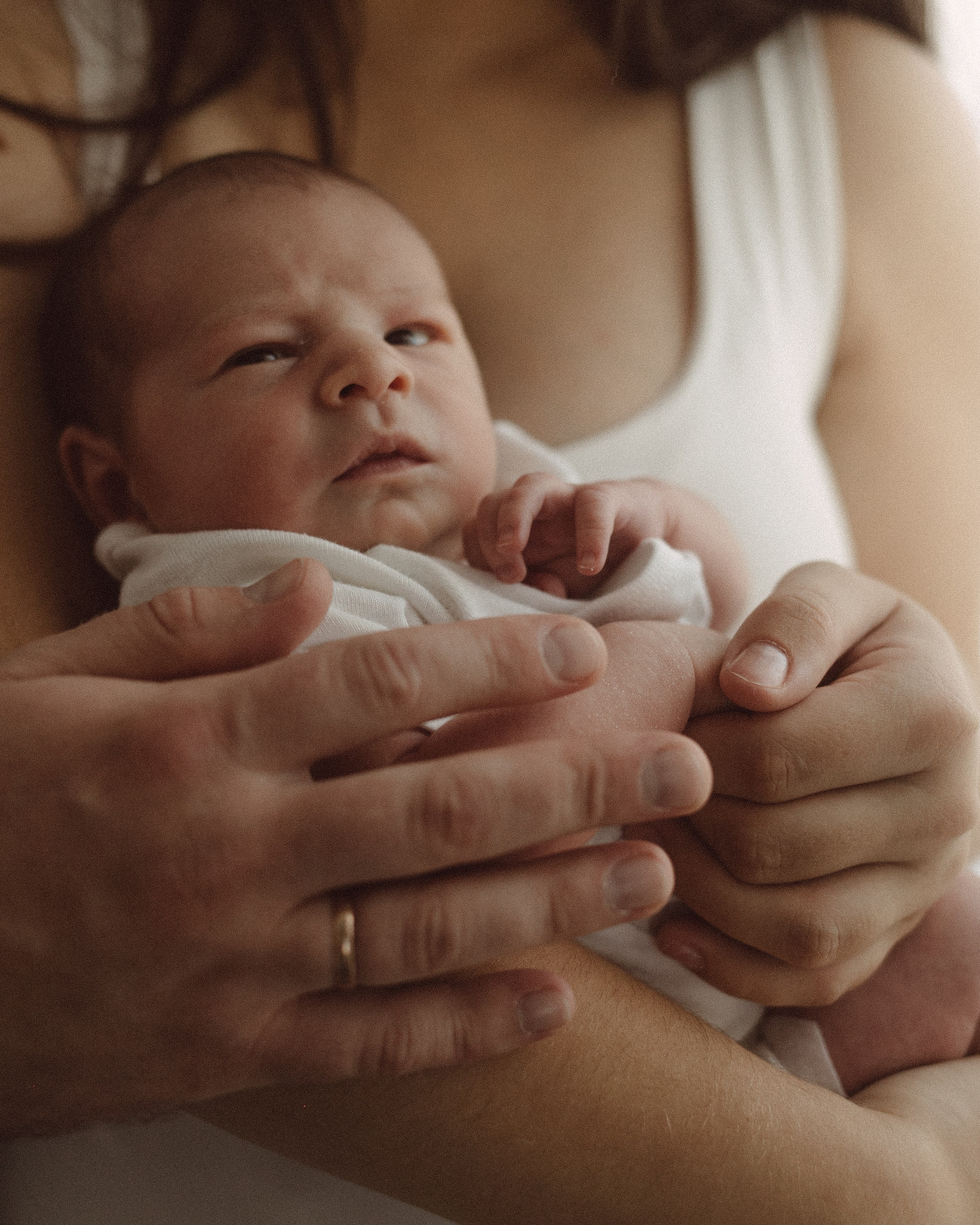 Лев родился. Фотограф Ксения Степаненко