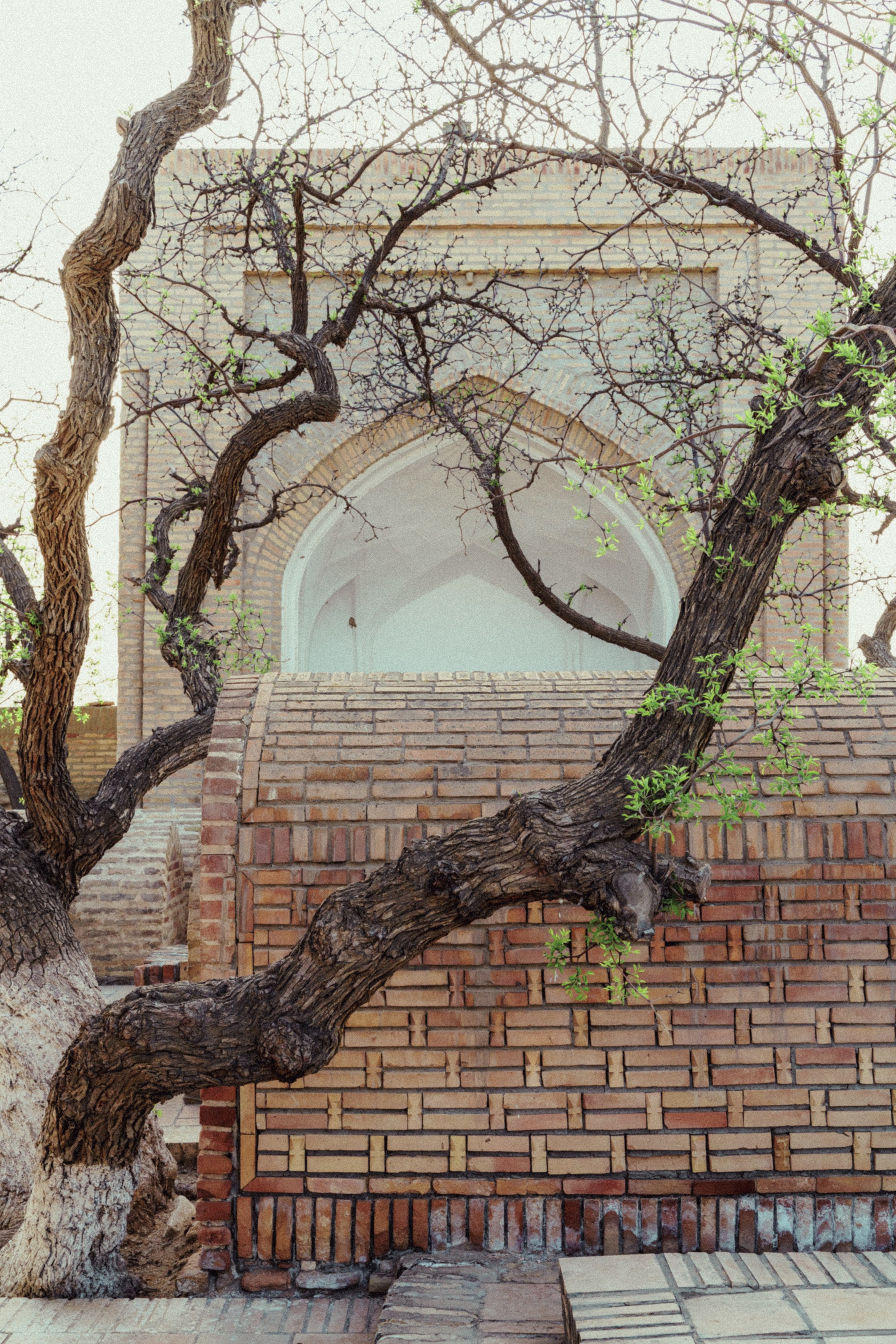 Чор-Бакр, Бухара