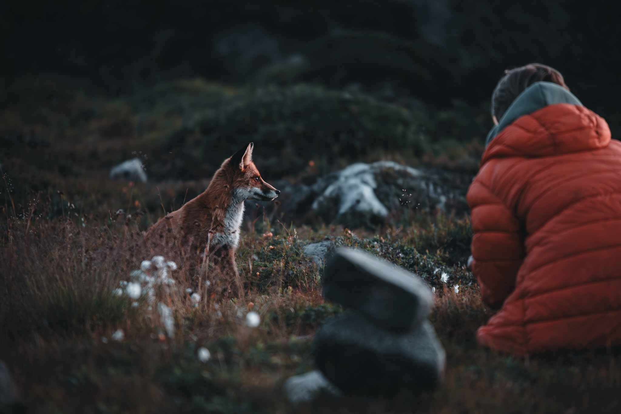 Север 2025. Внедорожные путешествия — OFFROADTRIP