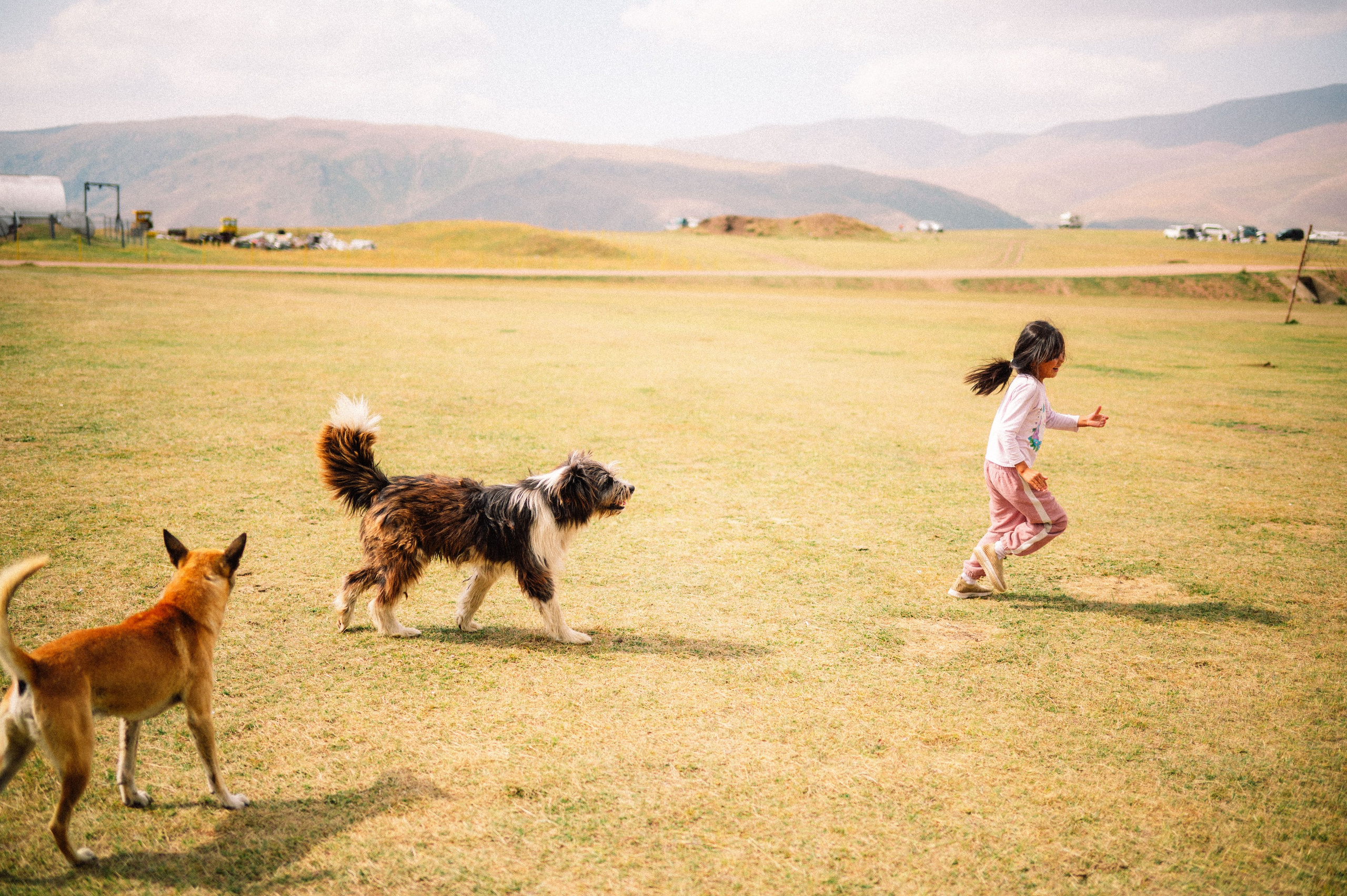 Плато Ассы: июль 2025. Фотограф в Алматы — Дарья Фёдорова