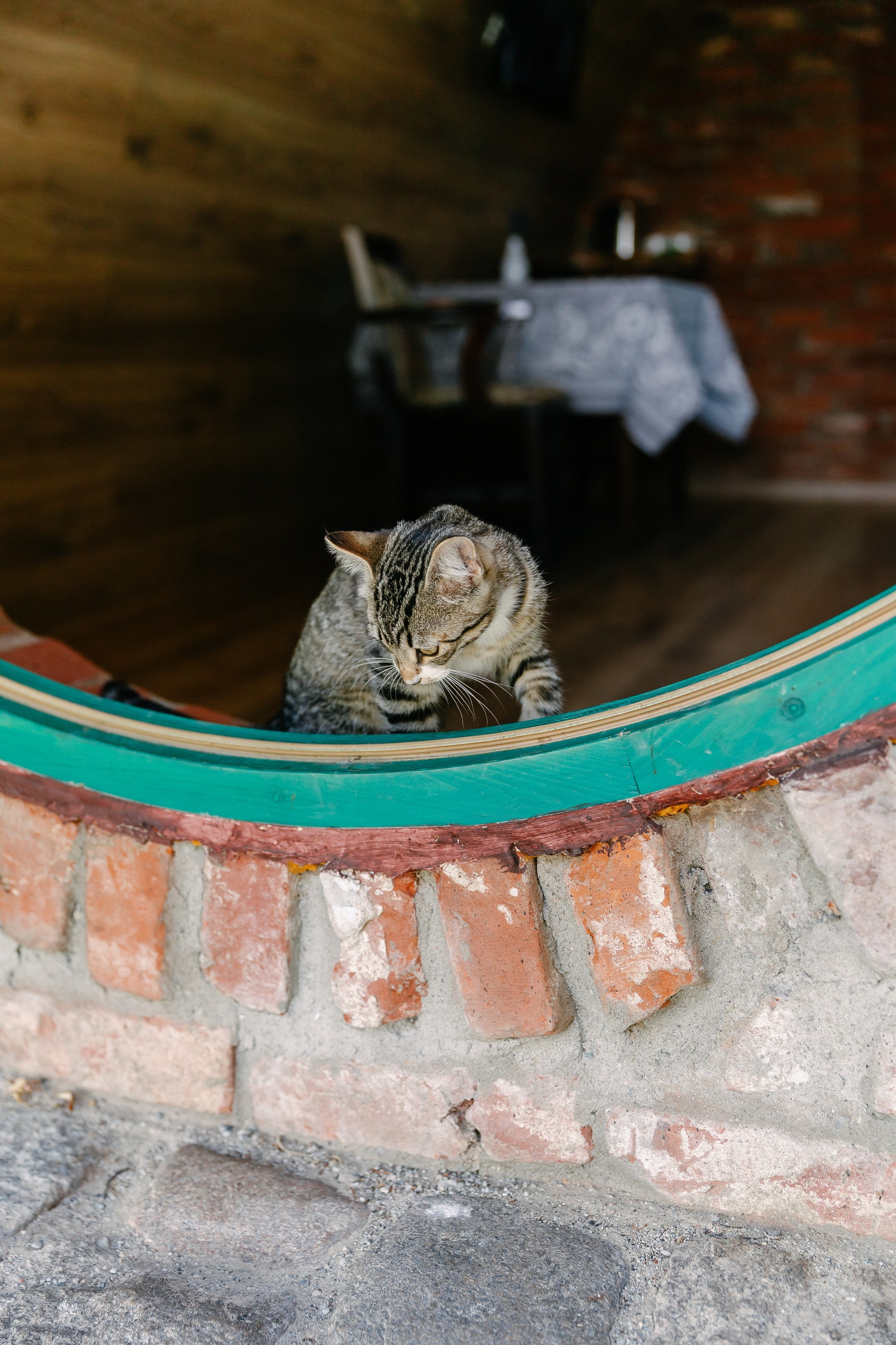 Съёмка объекта недвижимости Хутор Нёттникен. Свадебный, семейный и детский фотограф в Калининграде Елена Кравцова