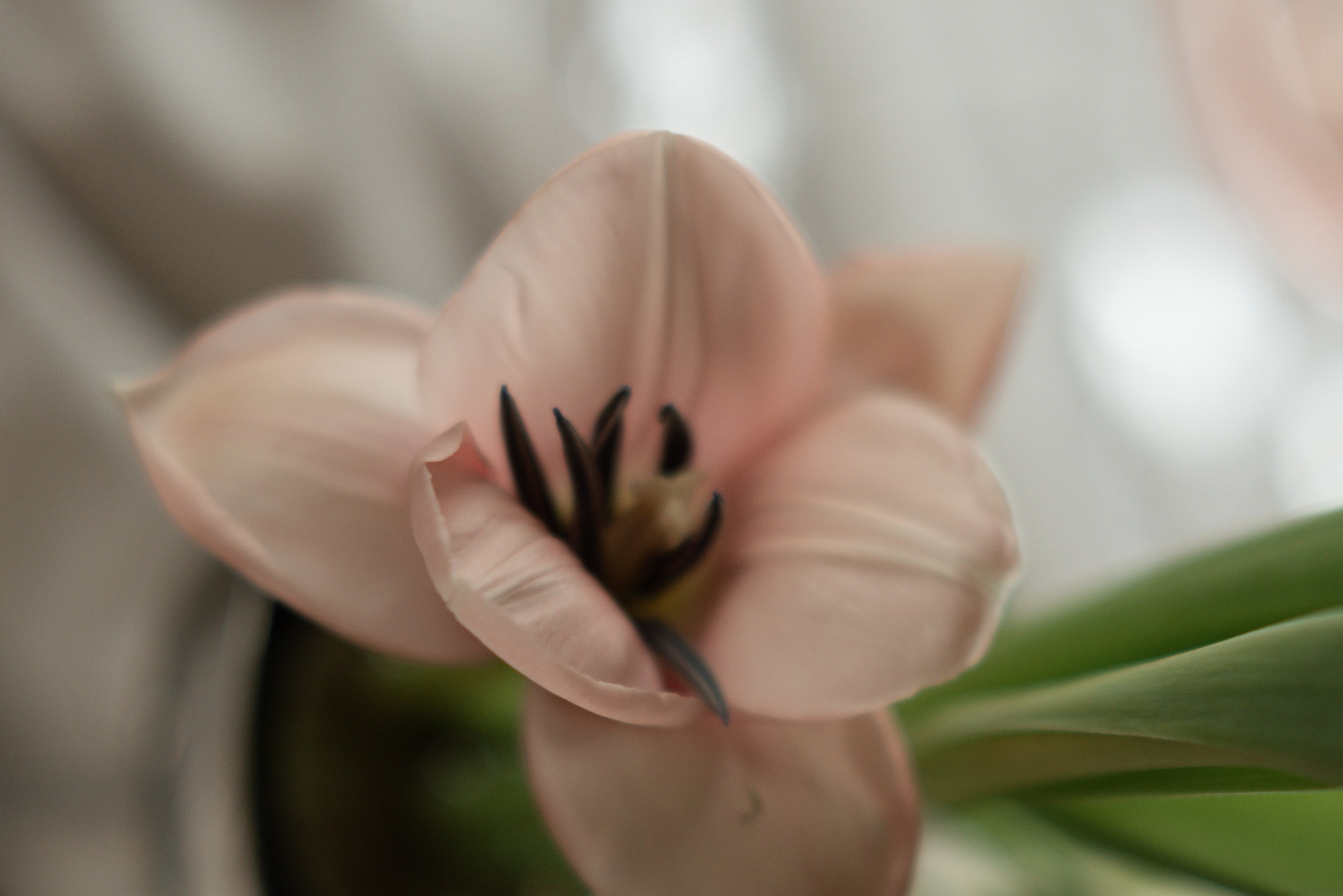 28/04/26