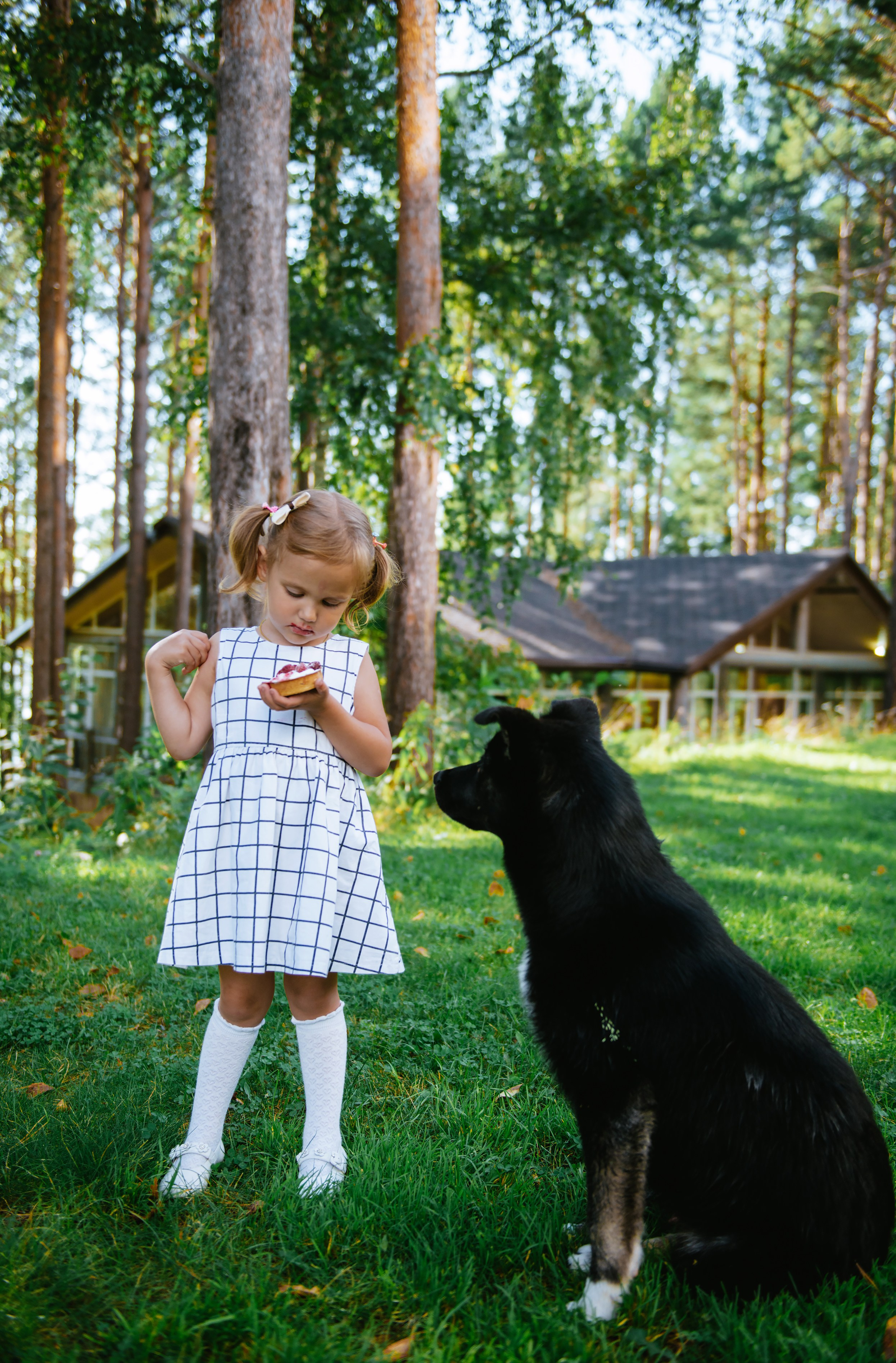 Мероприятия. Фотограф в Москве Алёна Степутенко