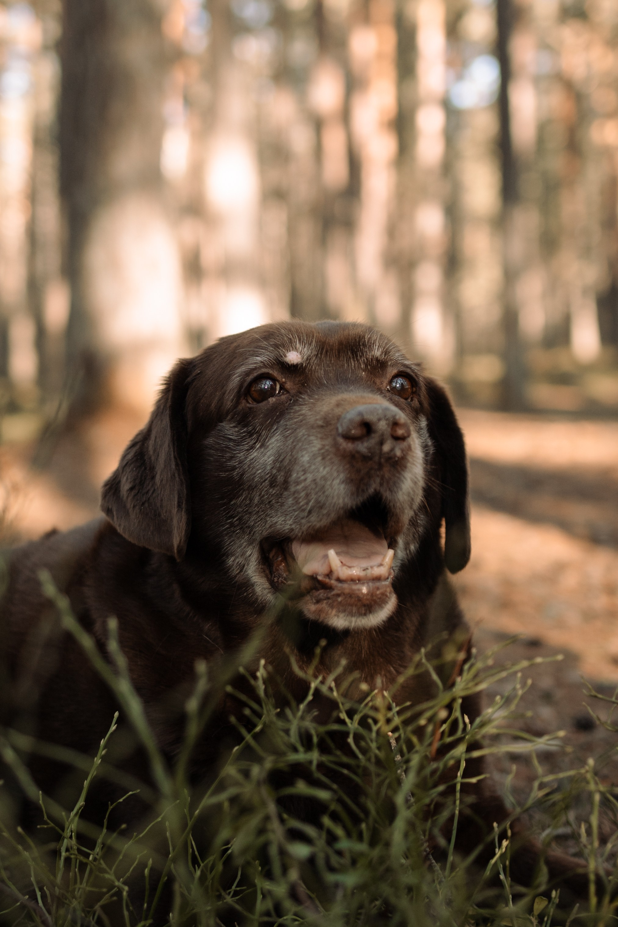 Оля и Питоня. Фотограф — Анималист | Санкт-Петербург