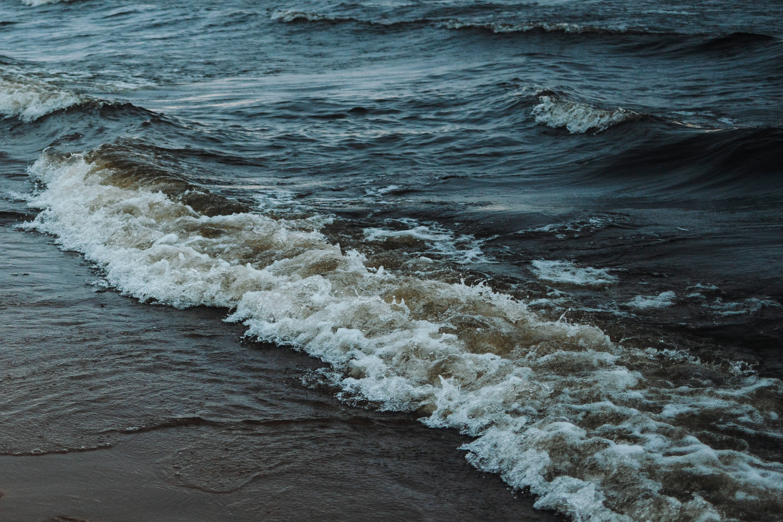 Катя и Агат. Фотограф — Анималист | Санкт-Петербург