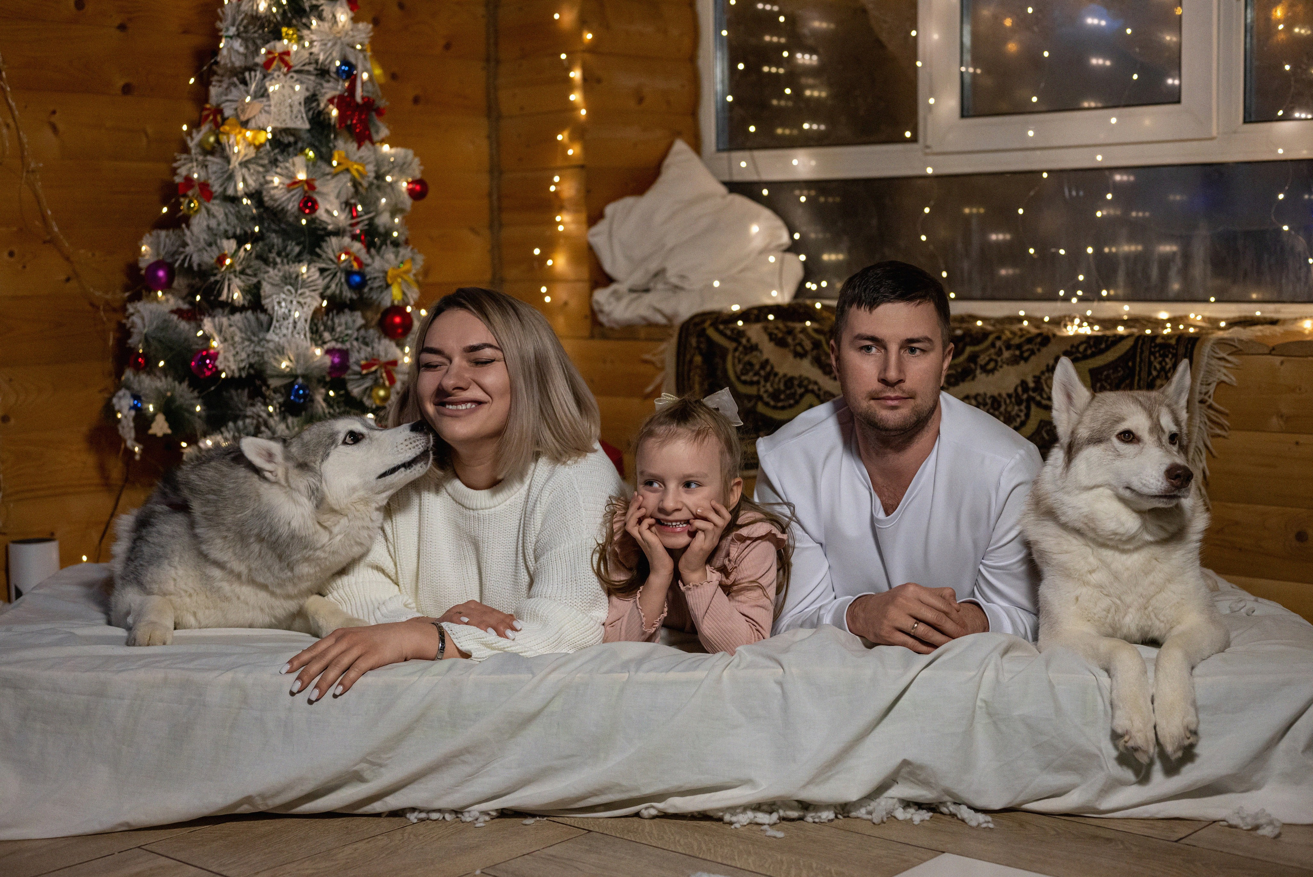 Фотопроект с хаски 2024 г. Фотограф в городе Салават