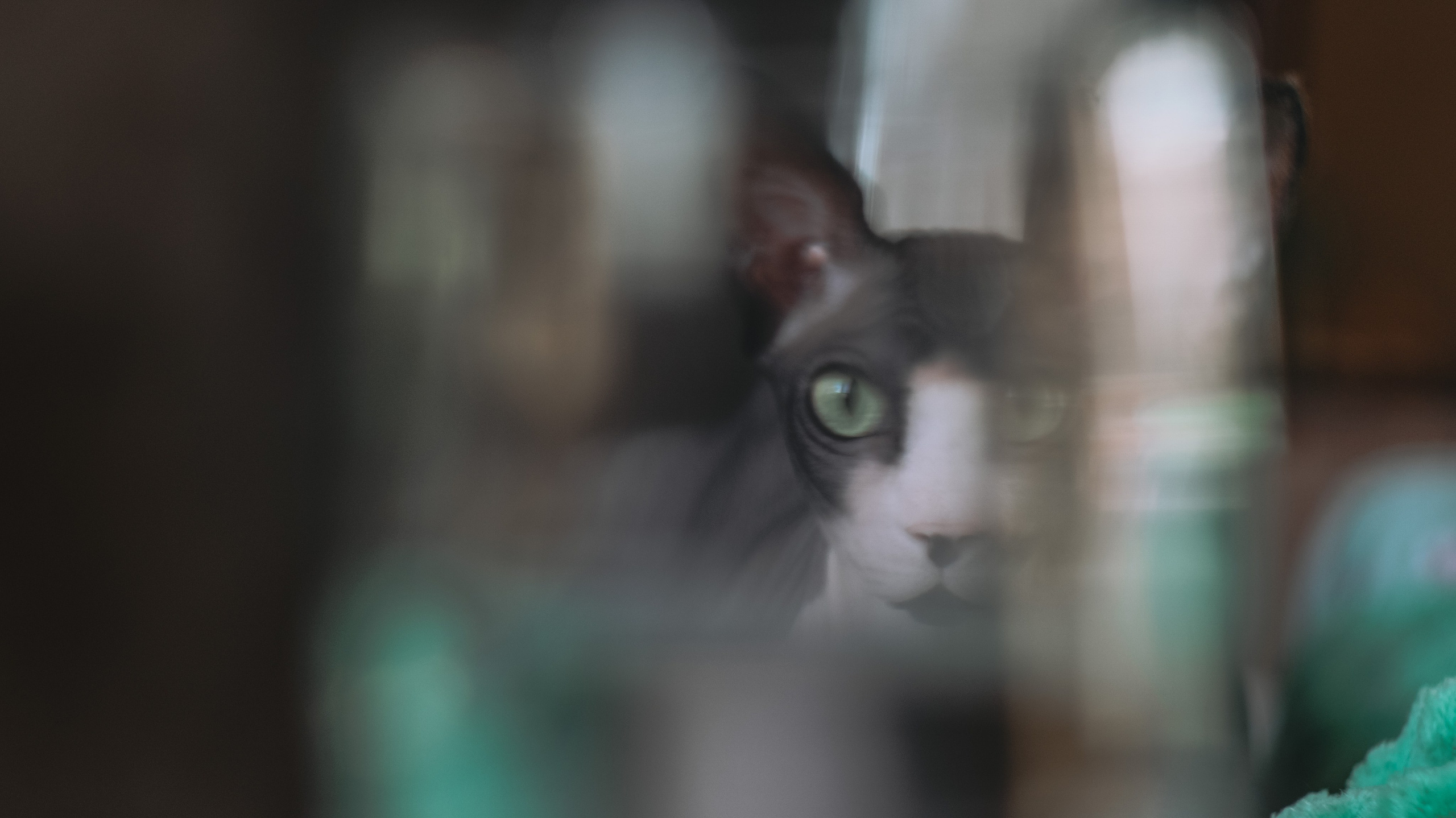 Профессиональный фотограф