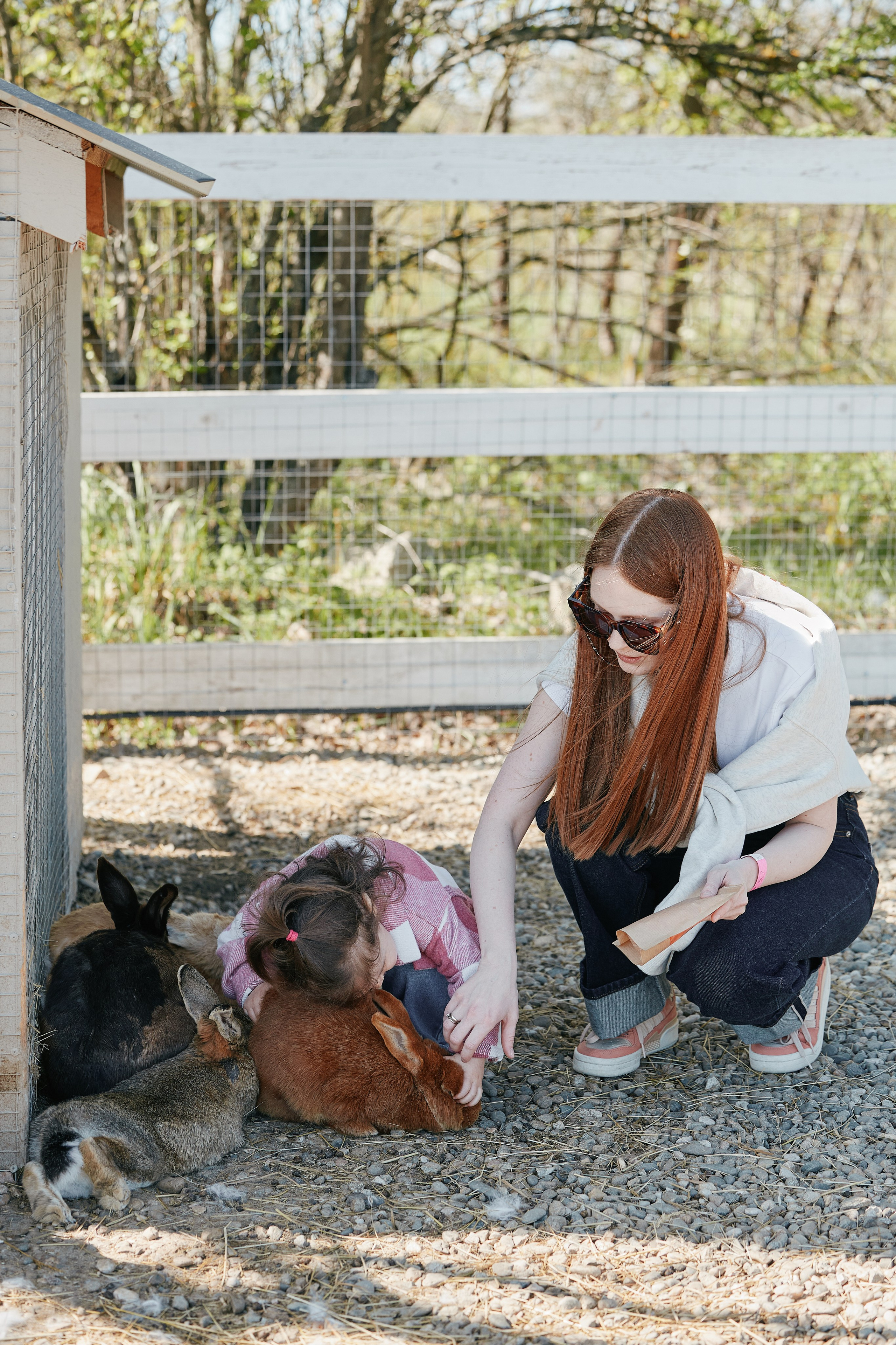 PRIVATE Weekend на Ферме Альпак 19.04. Свадебный репортажный фотограф краснодар максим дремов дрёмов фотосессия студия цена