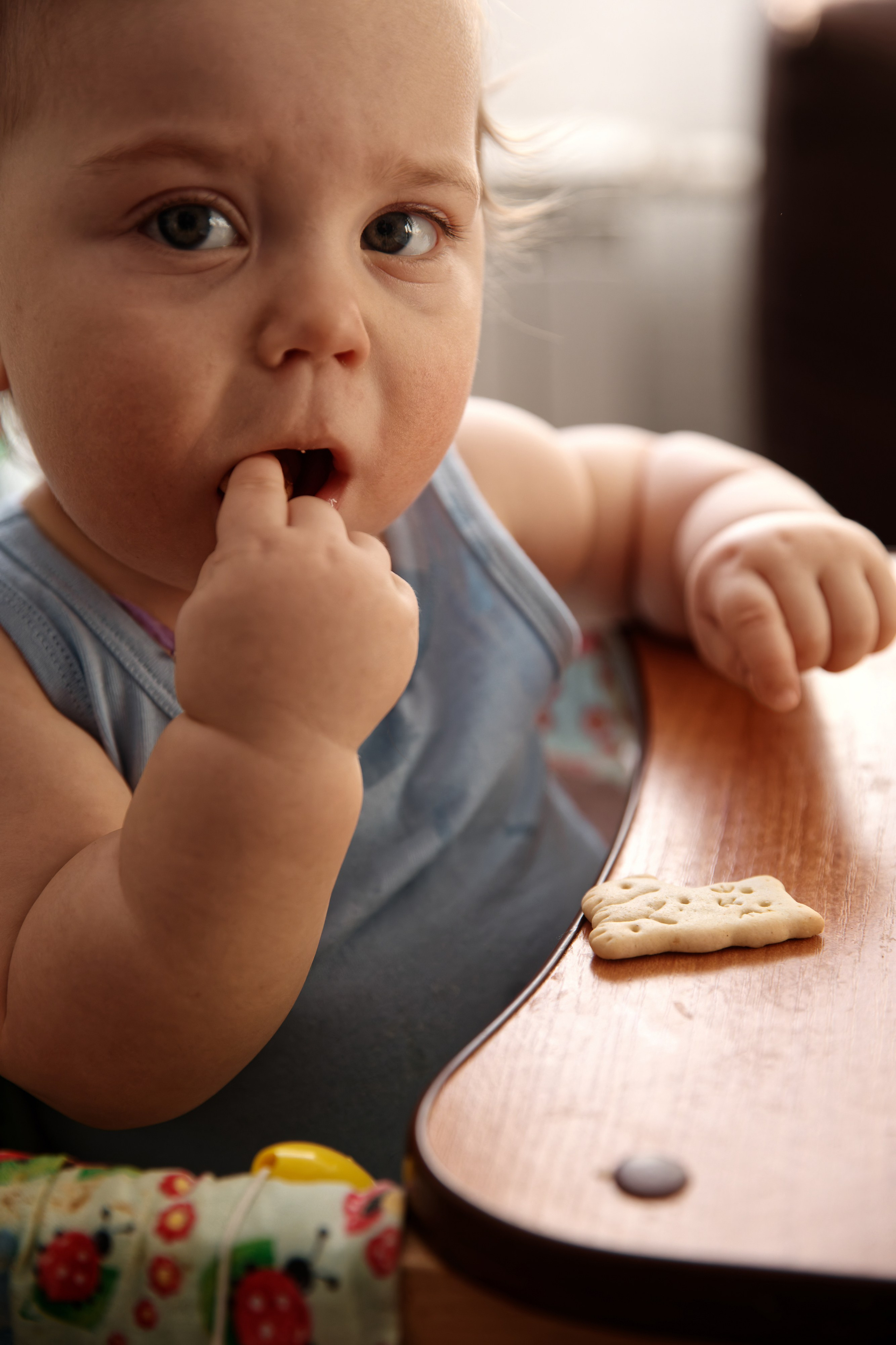 Семья Гуторовых. Семейный фотограф — Макс Белогрудов