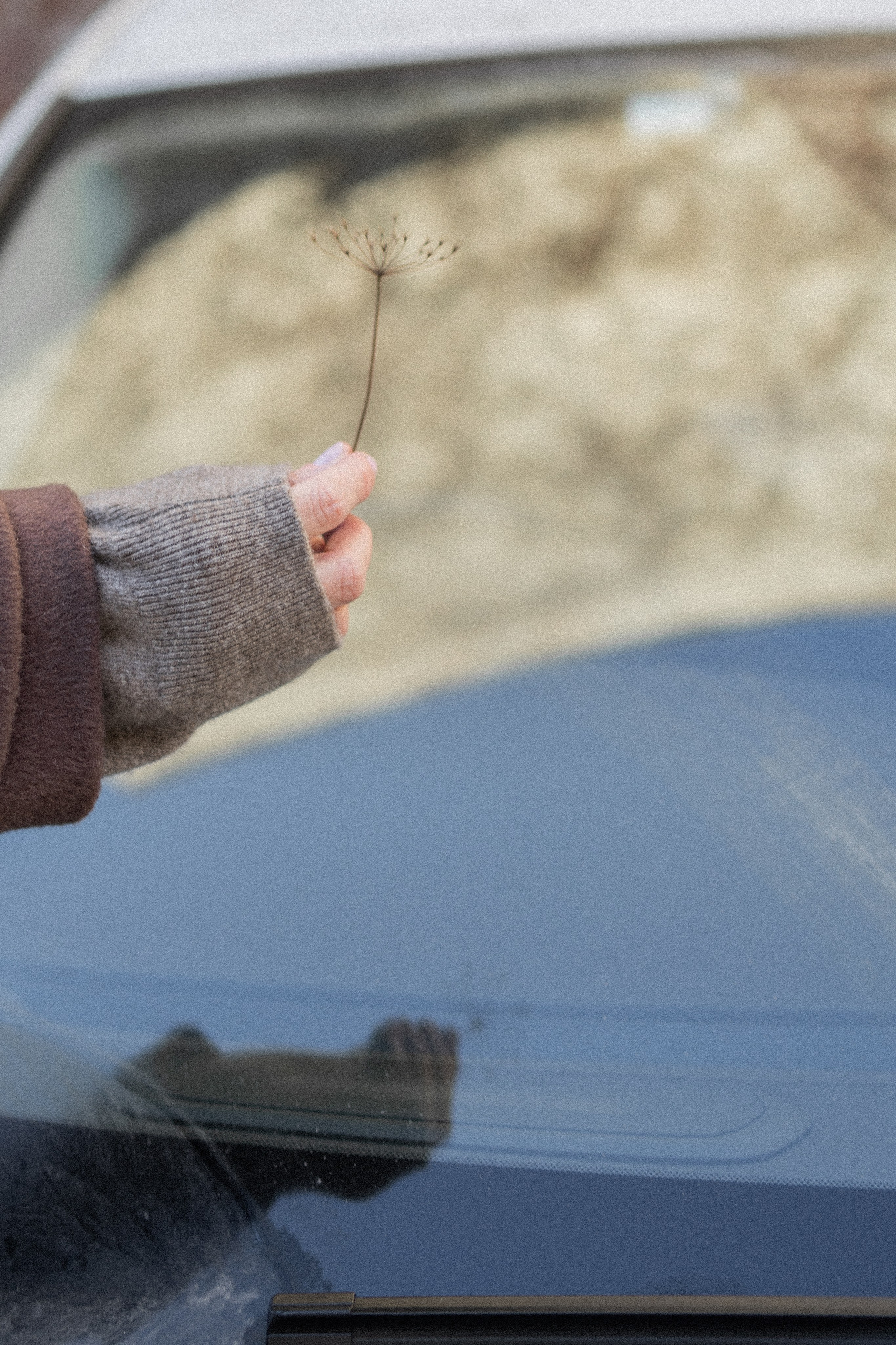 Эстетика П р о Я в л е н и я. Виноградова Маргарита. Фотограф P r o Явления