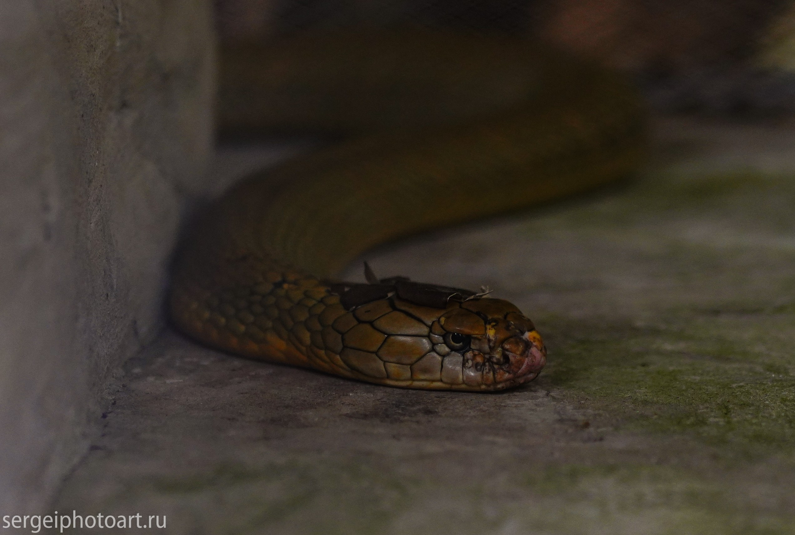 Остров Фукуок, Вьетнам. Фотограф Сергей Кишкель Дананг Нячанг Фукуок