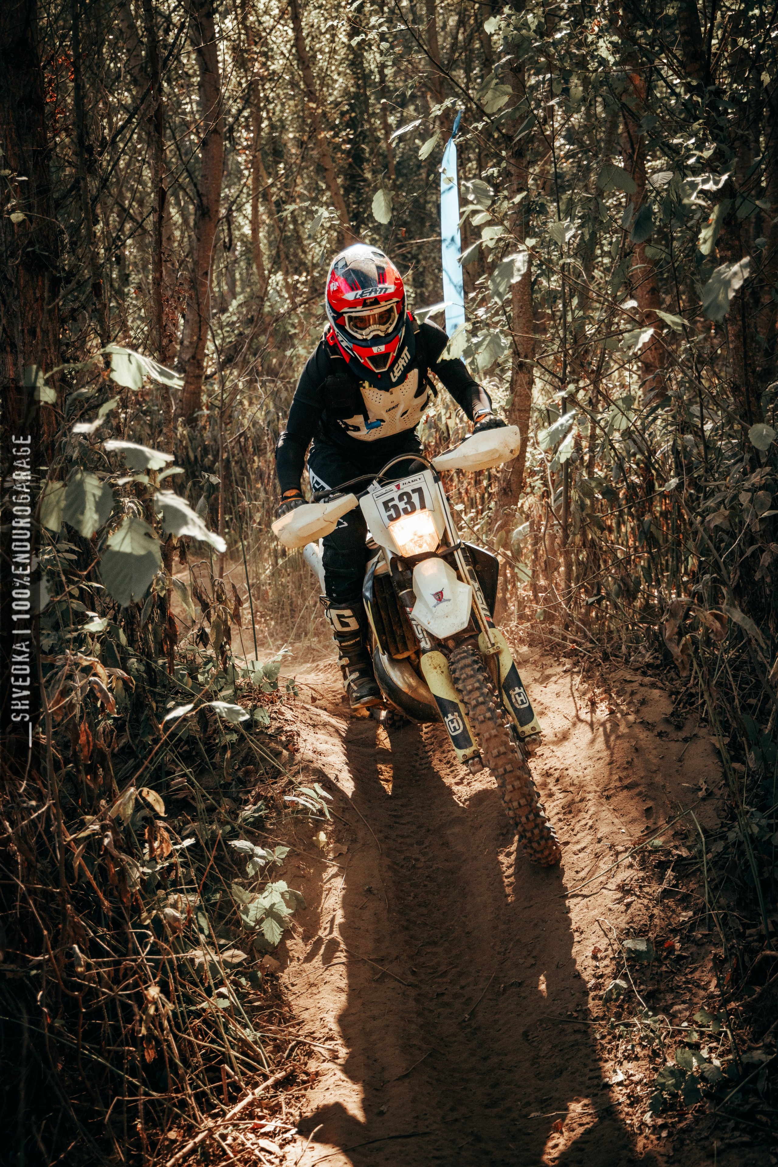 2 лесной день. Ваш экстрим фотограф Кудрева Яна