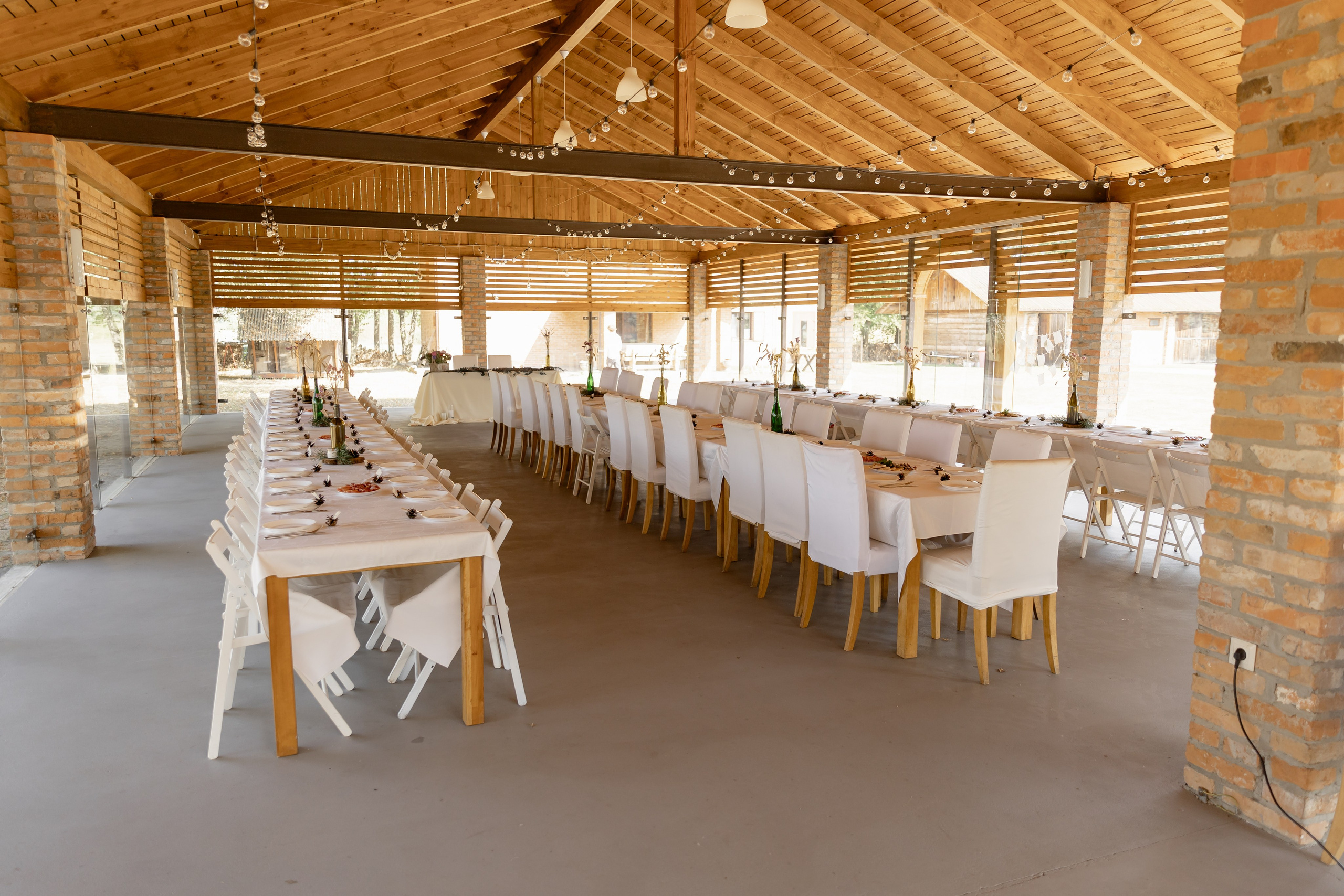 Виноградники. Dima Lemeshevsky