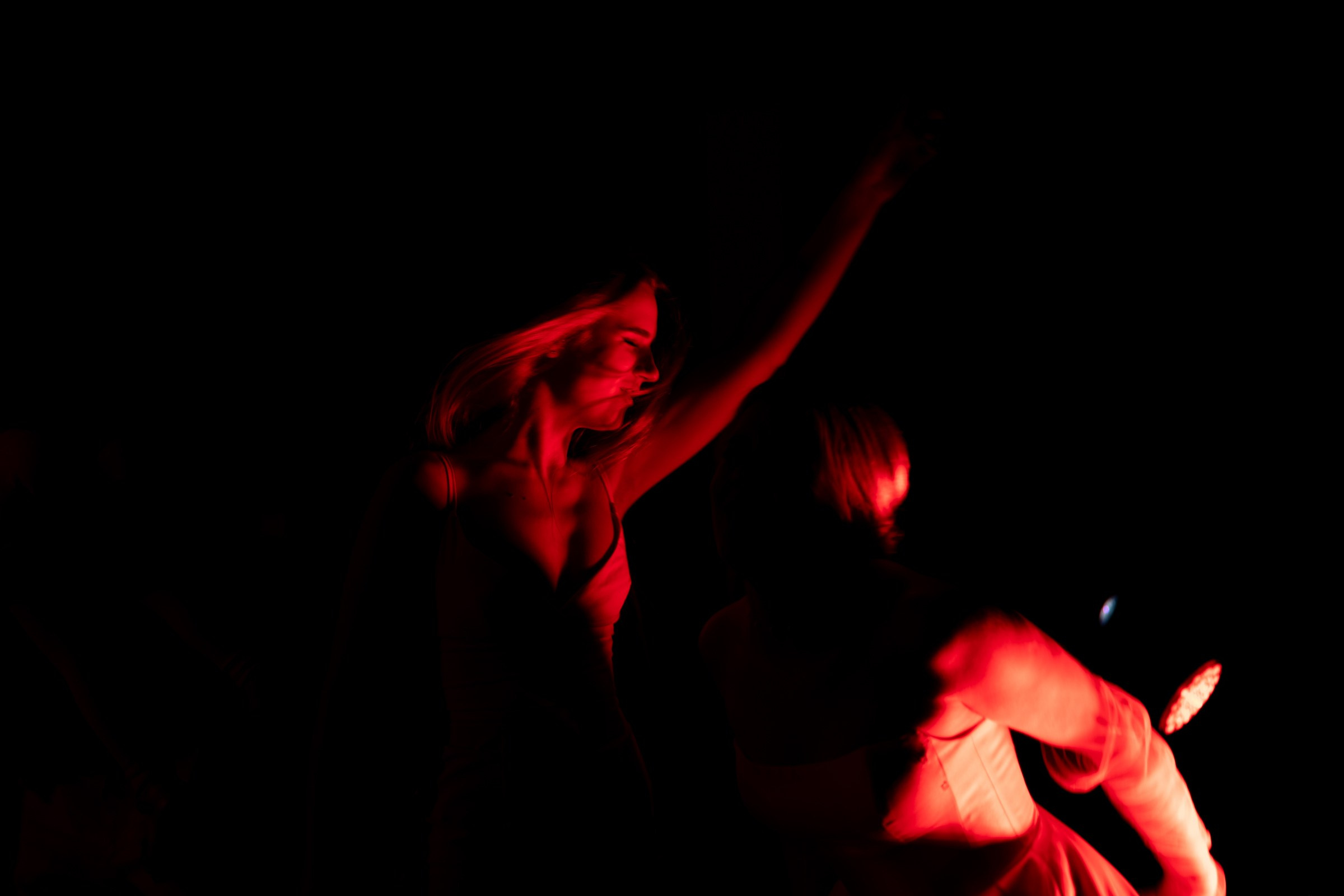 Свадьба пес и котики. Dima Lemeshevsky