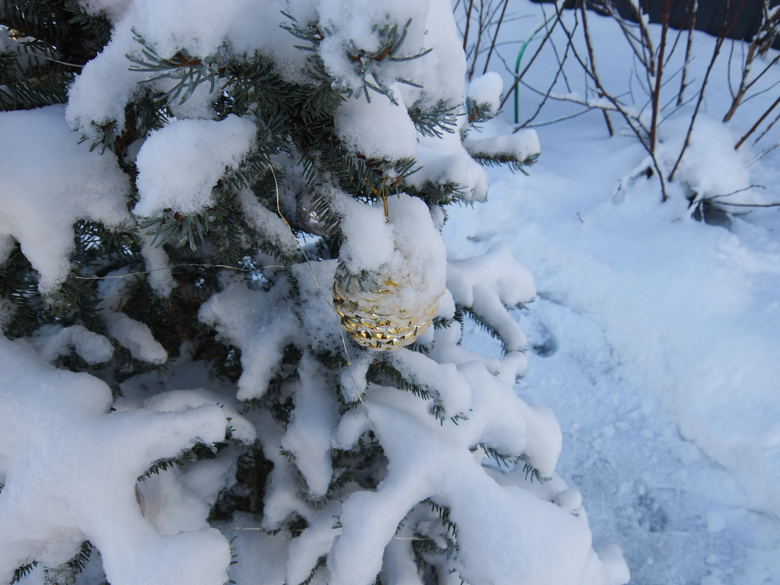 Солнечный день Нового Года. Фотограф-документалист Мария Осокина