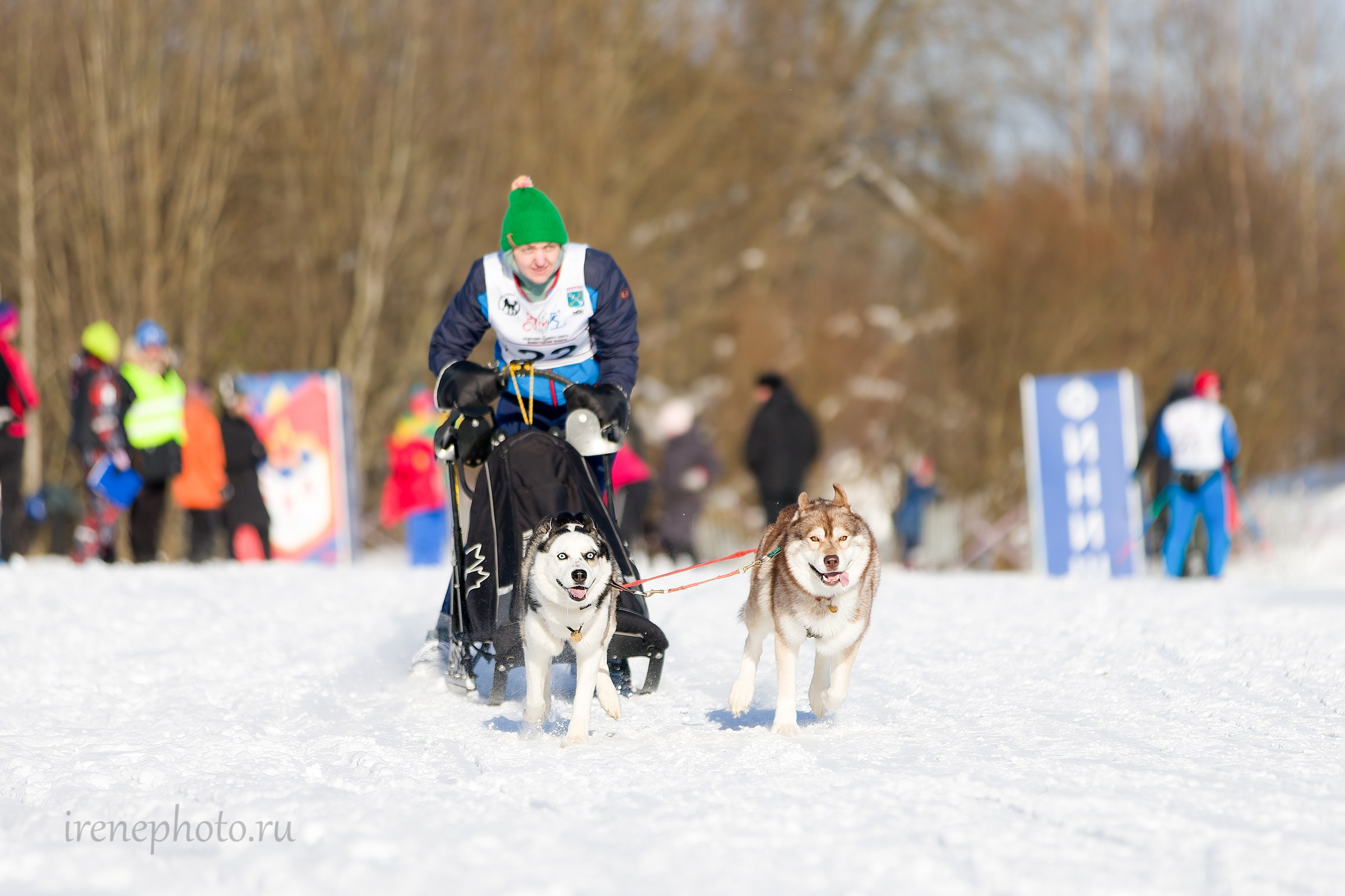 Чемпионат и Первенство Ленобласти — зима 2026. Irenephoto.ru