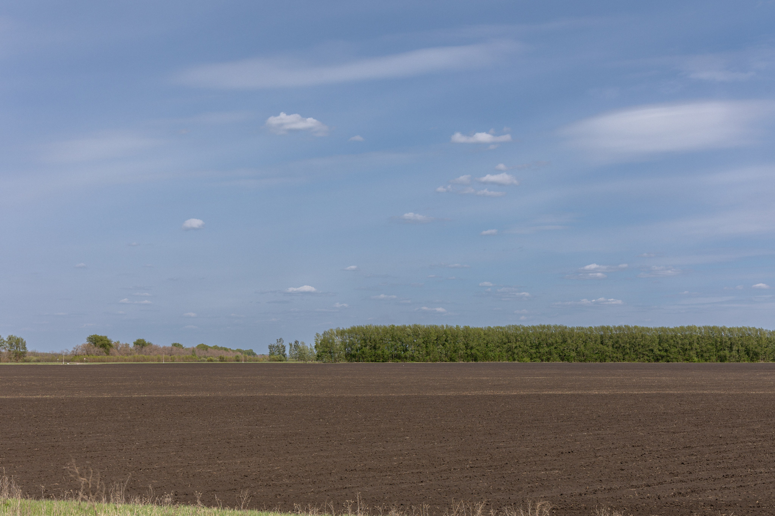 Земельный участок с объектами на нём. Владислав Волков | Фотография и видеосъемка в Воронеже