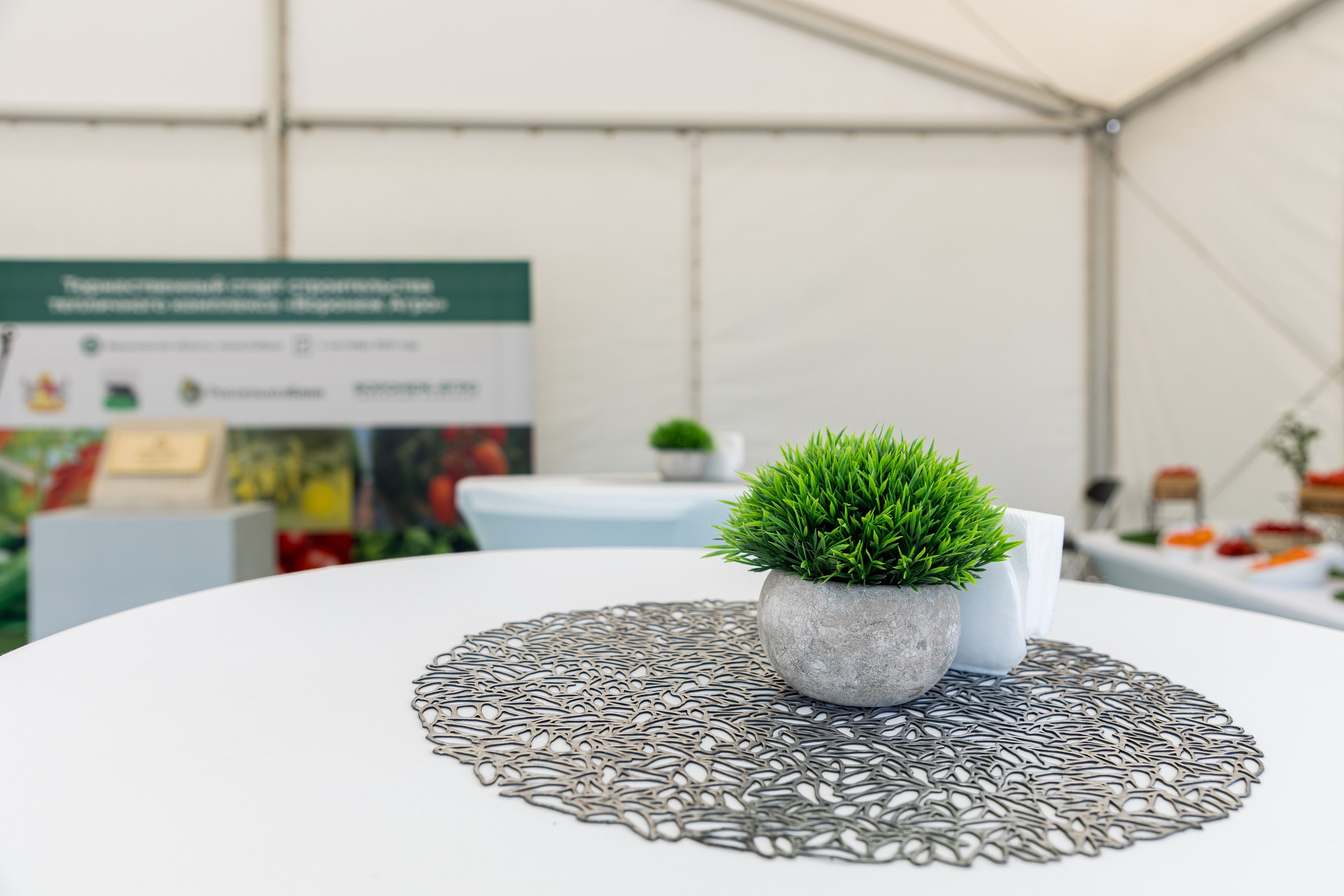 Воронеж Агро-Первый камень. Владислав Волков | Фотография и видеосъемка в Воронеже