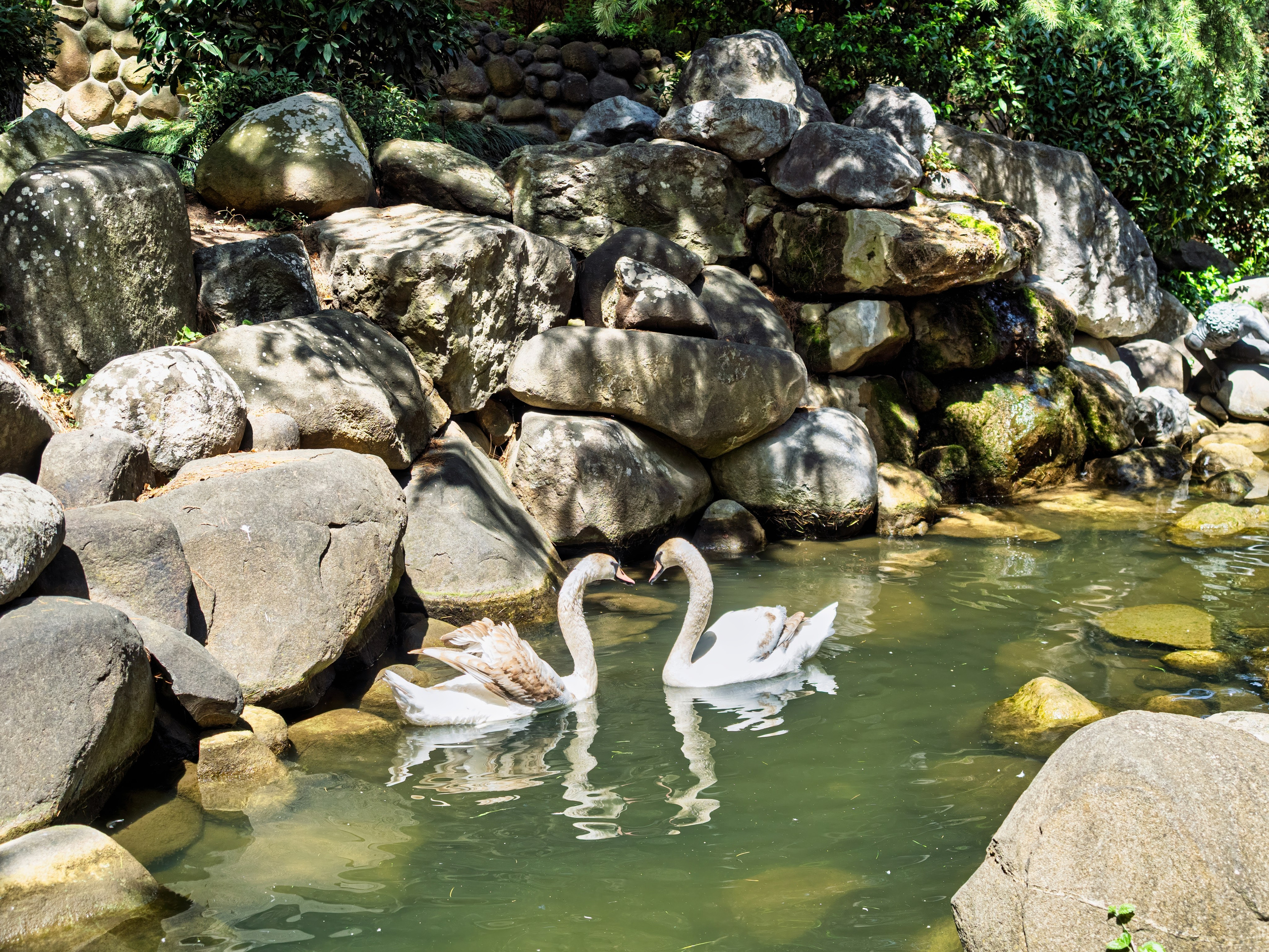 Крым, Утес, 2021 год. Фотограф Никифоров-Гордеев Сергей. Москва и МО