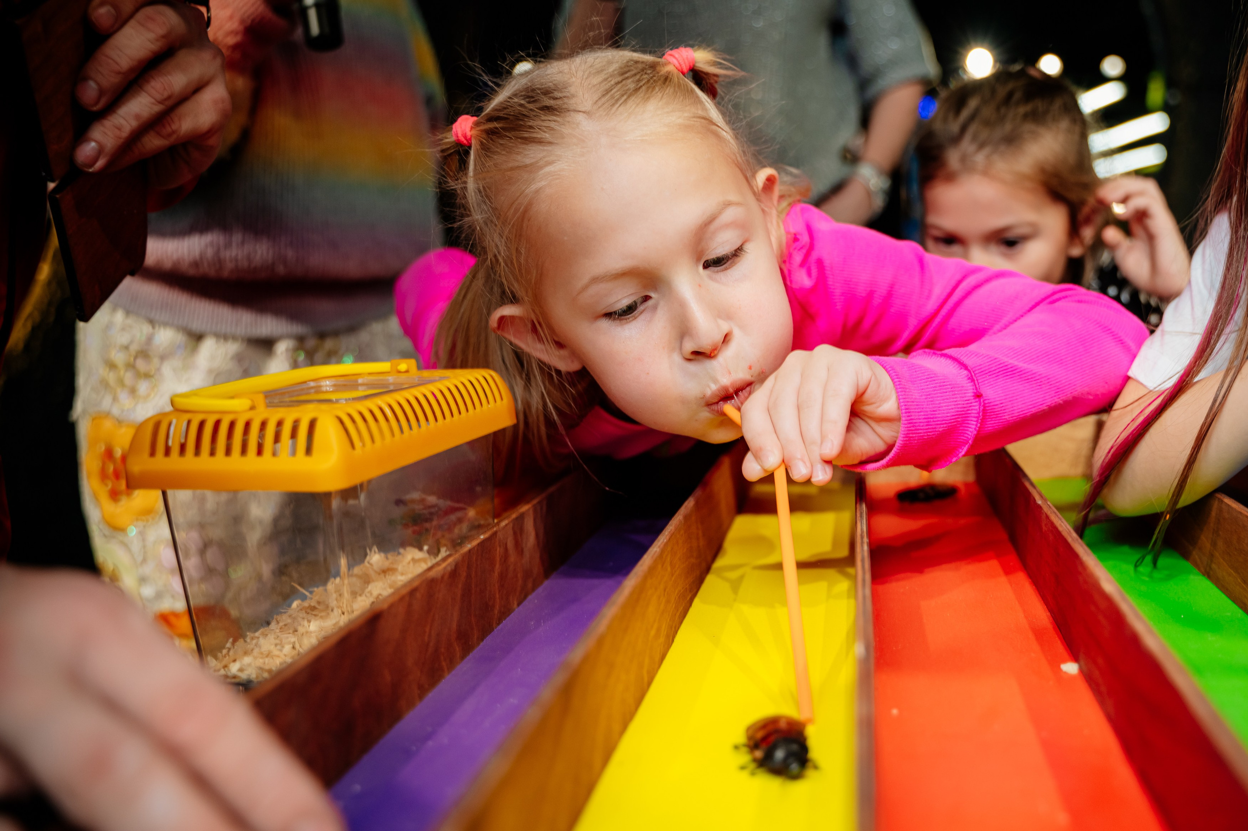 Детский день рождения. Свадебный и семейный фотограф в Сочи Никита Пищов