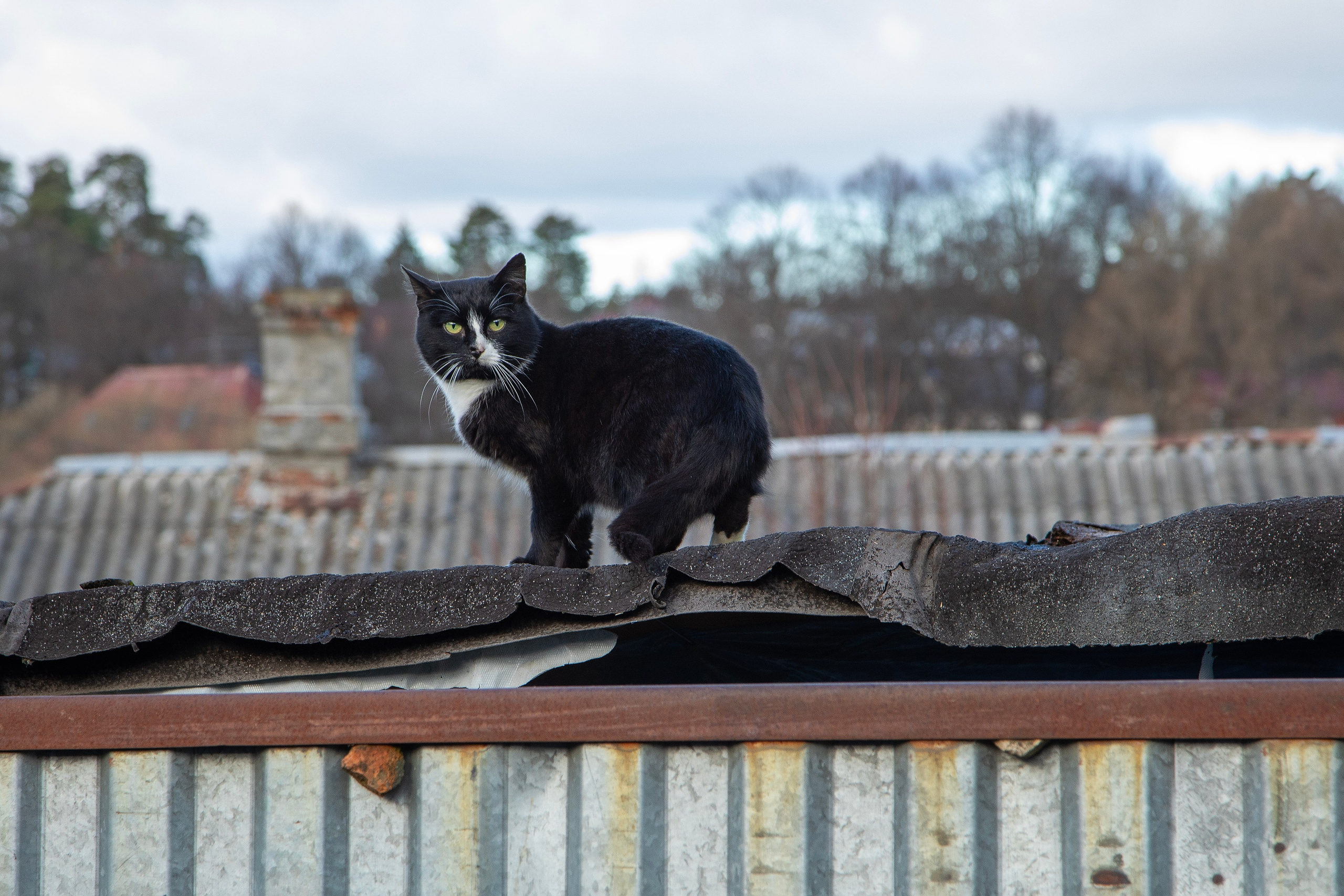 Боровск. Фотограф Сергей Ловкий