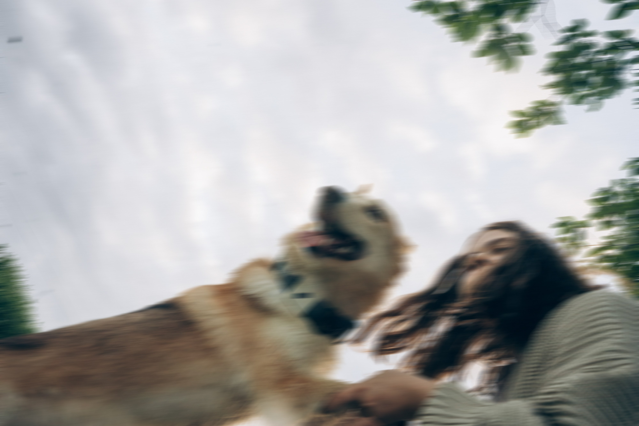 Соня и Кора. Фотограф анималист в Москве и Санкт-Петербурге Свиридова Анна