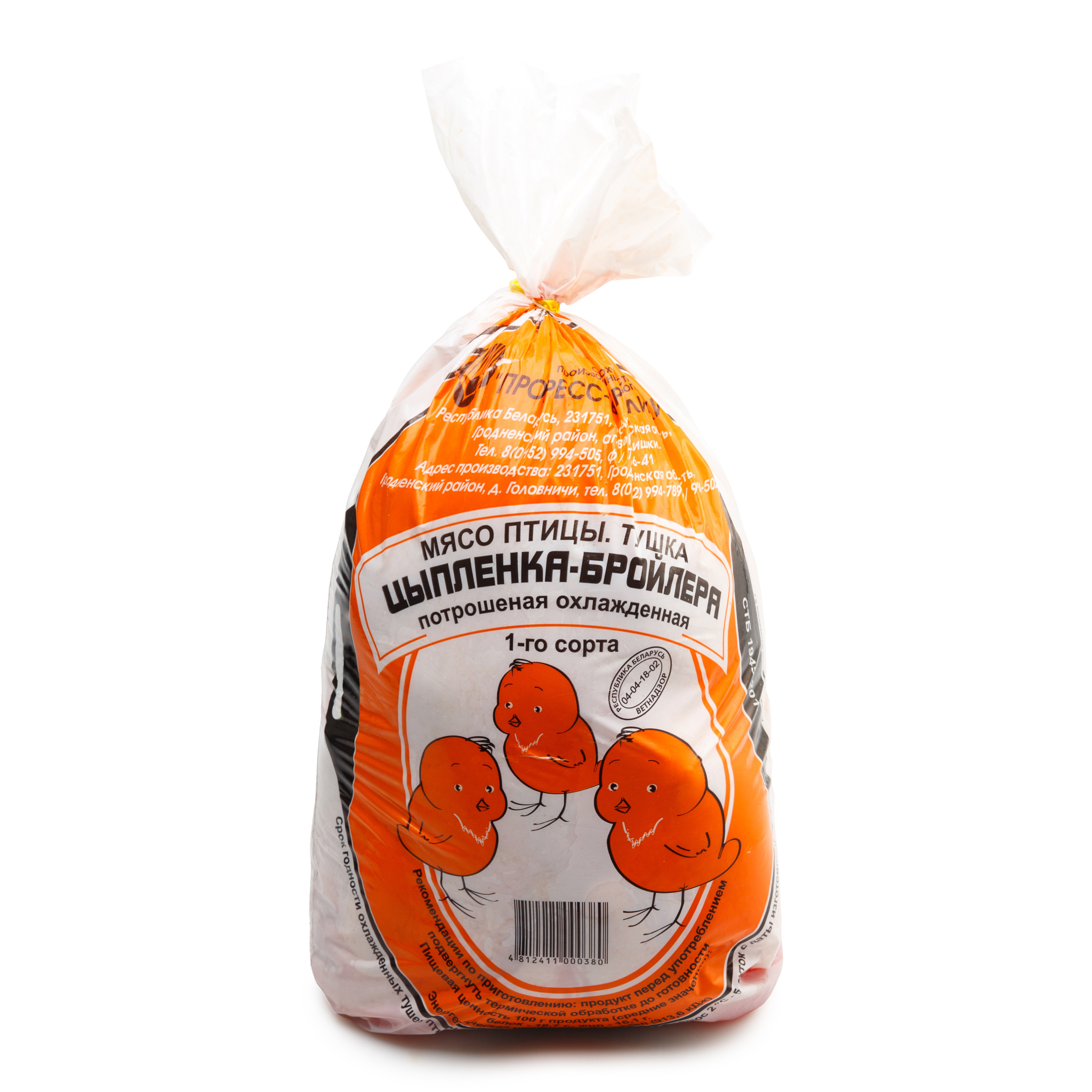 Жар-птица. Профессиональный фотограф в Гродно и Республике Беларусь