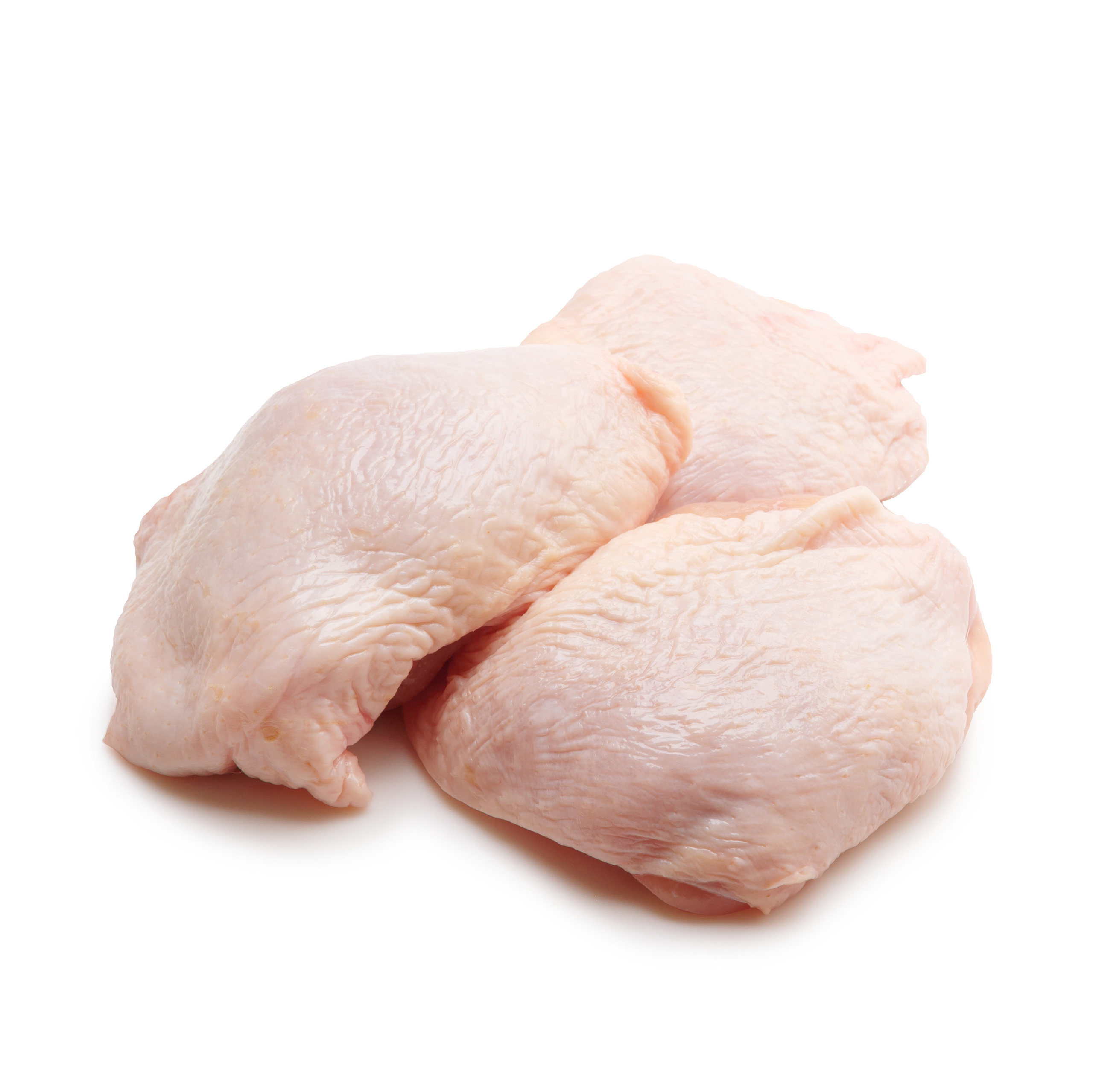 Жар-птица. Профессиональный фотограф в Гродно и Республике Беларусь