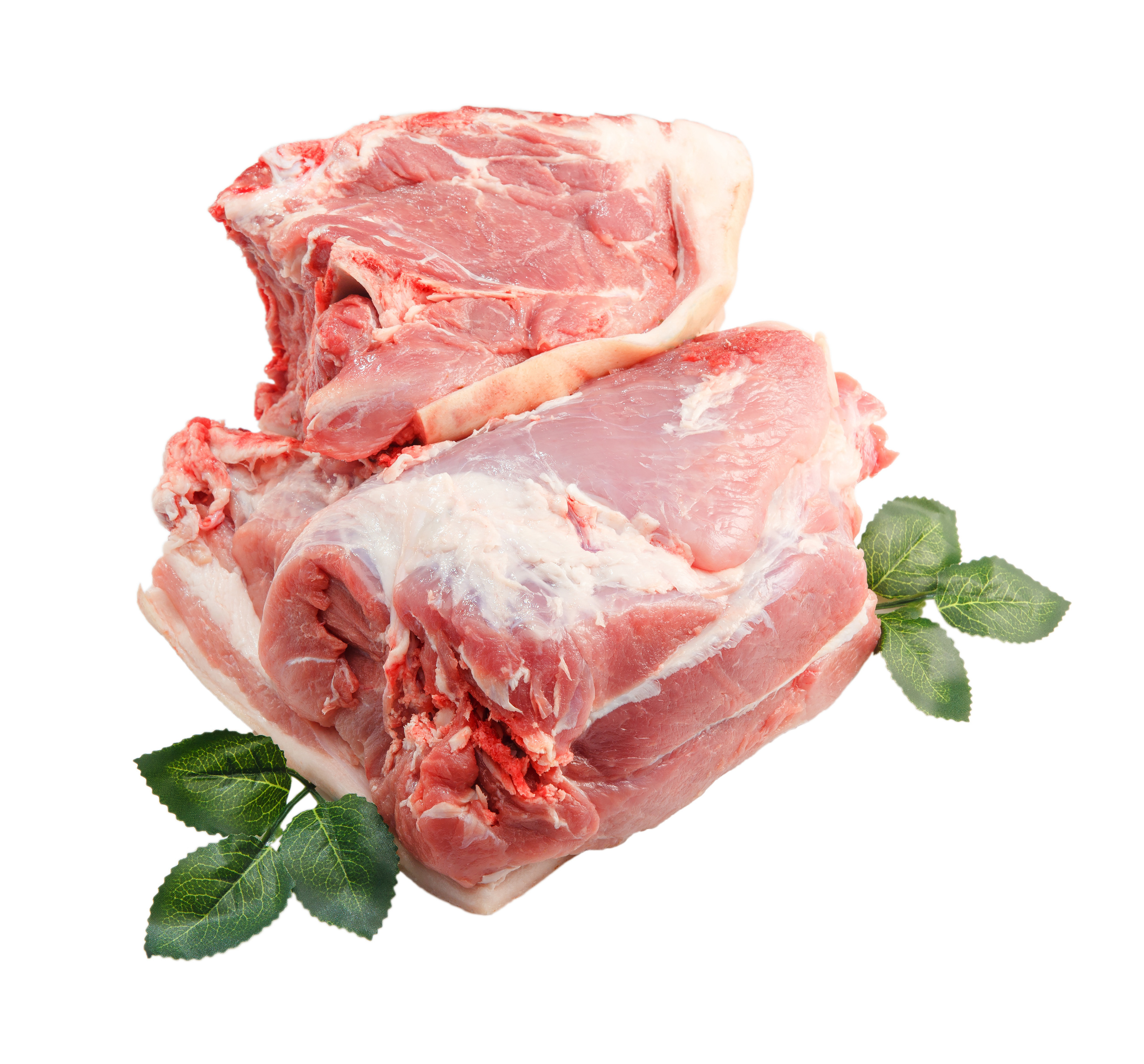 Жар-птица. Профессиональный фотограф в Гродно и Республике Беларусь