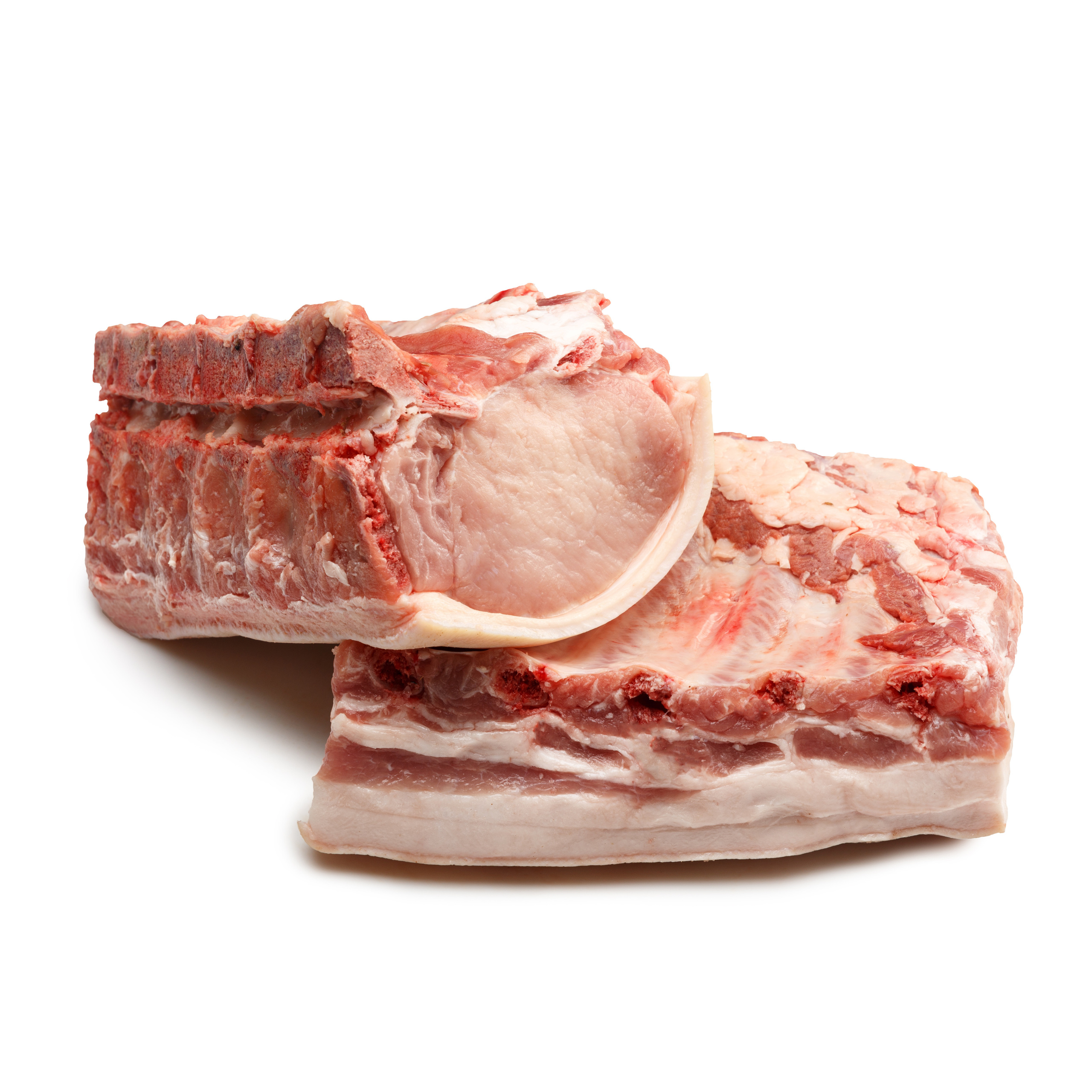 Жар-птица. Профессиональный фотограф в Гродно и Республике Беларусь