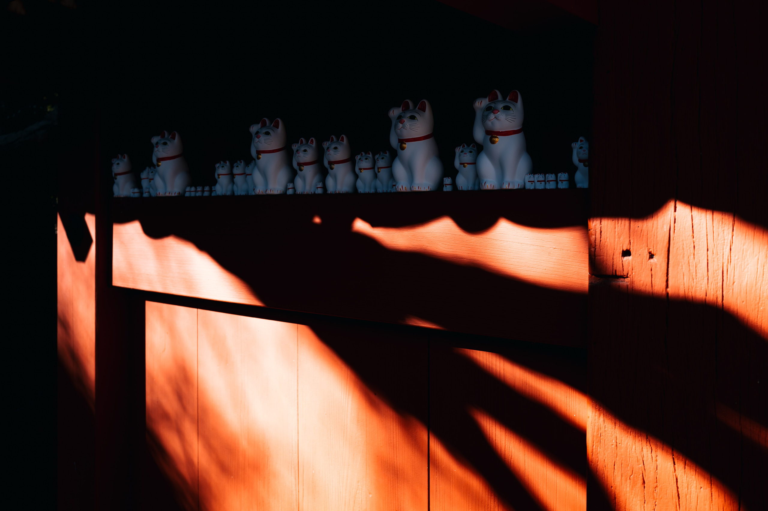 Japan/Япония. @tomrus: Рустам Шагиморданов — фотограф