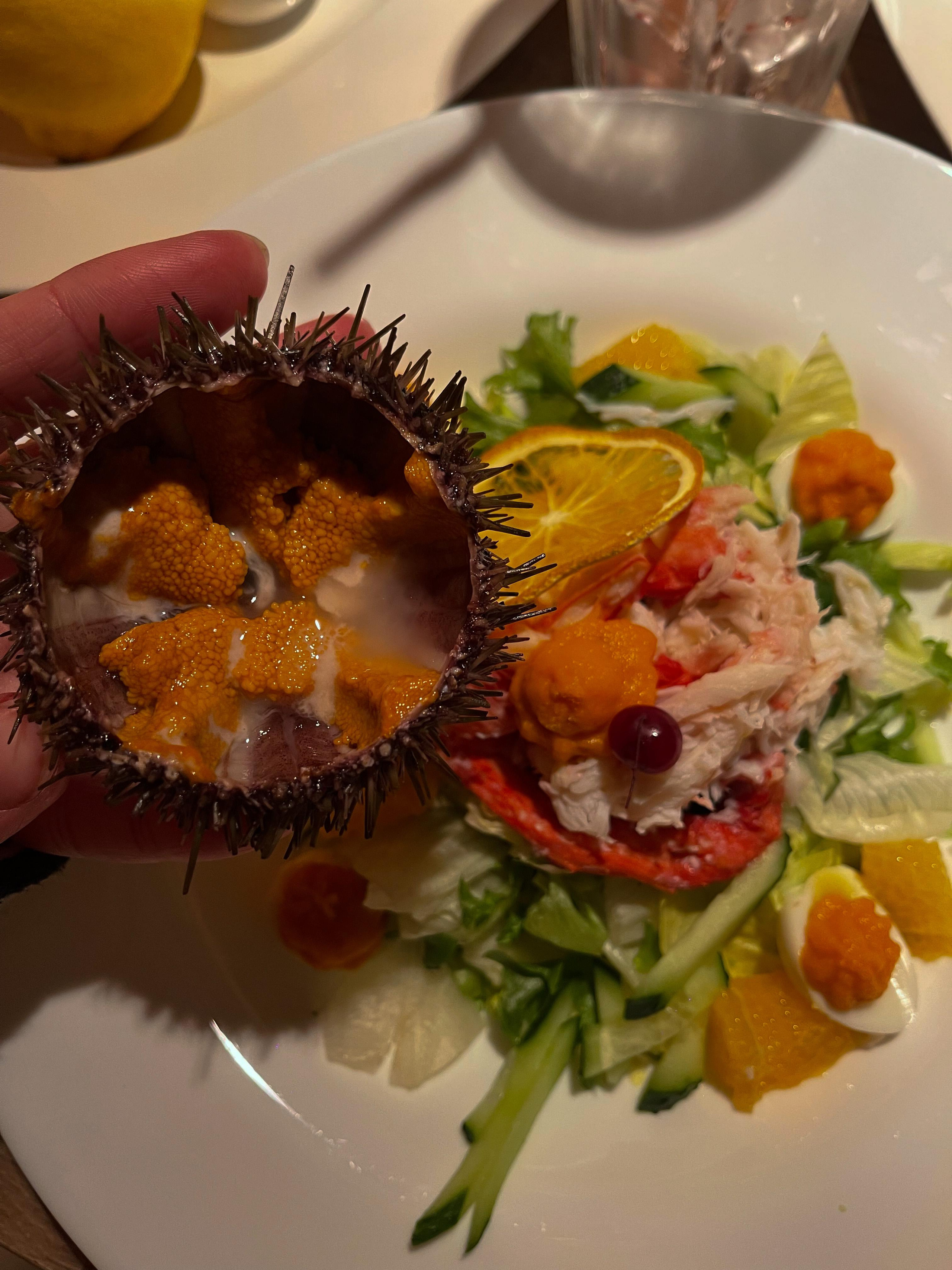 Путешествие по Териберке. Северное сияние. Уникальные экспедиции — LUCKY CLAN