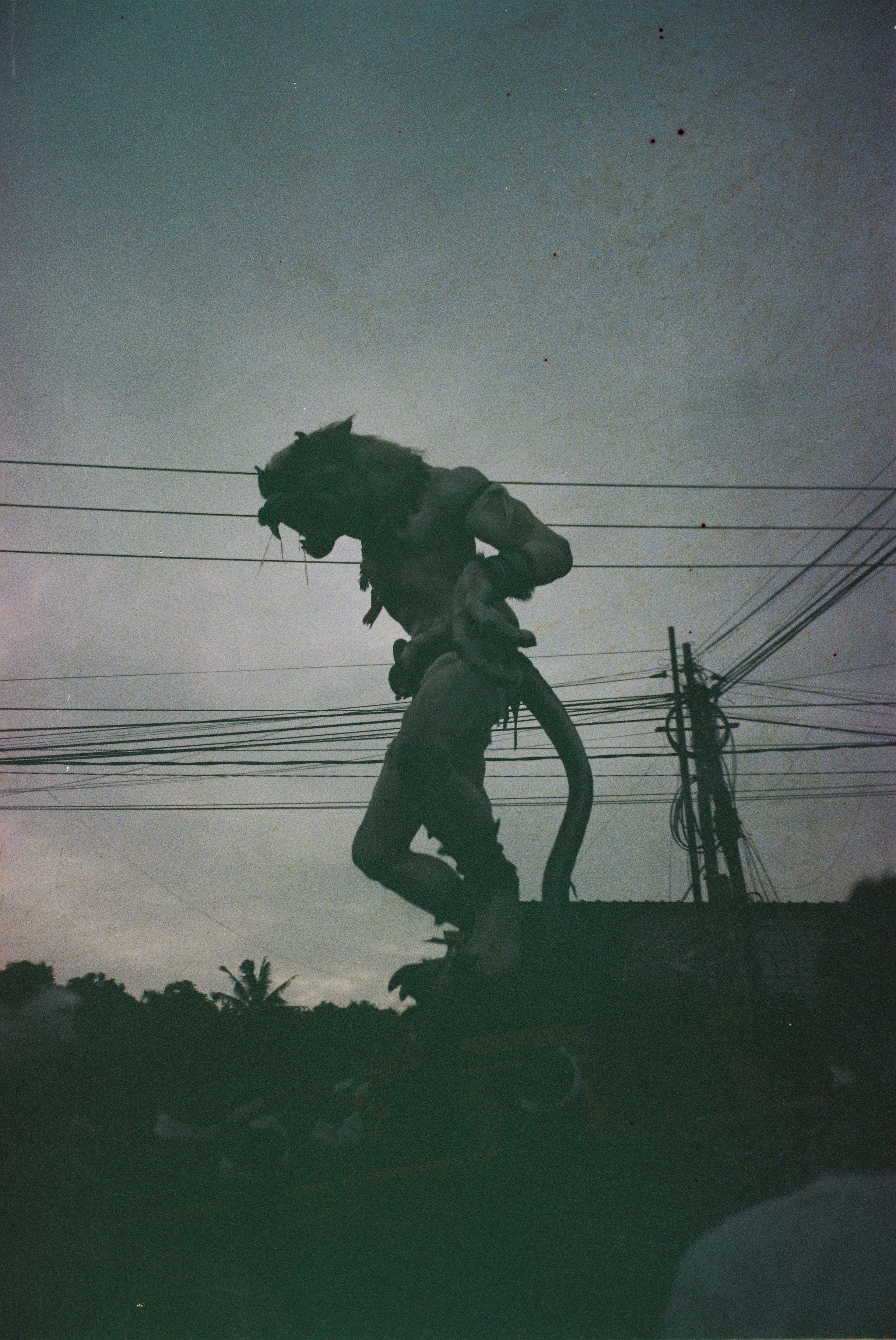 SWASTIASTU. Сocoobird || Атмосфера твоего бренда в снимках и видео