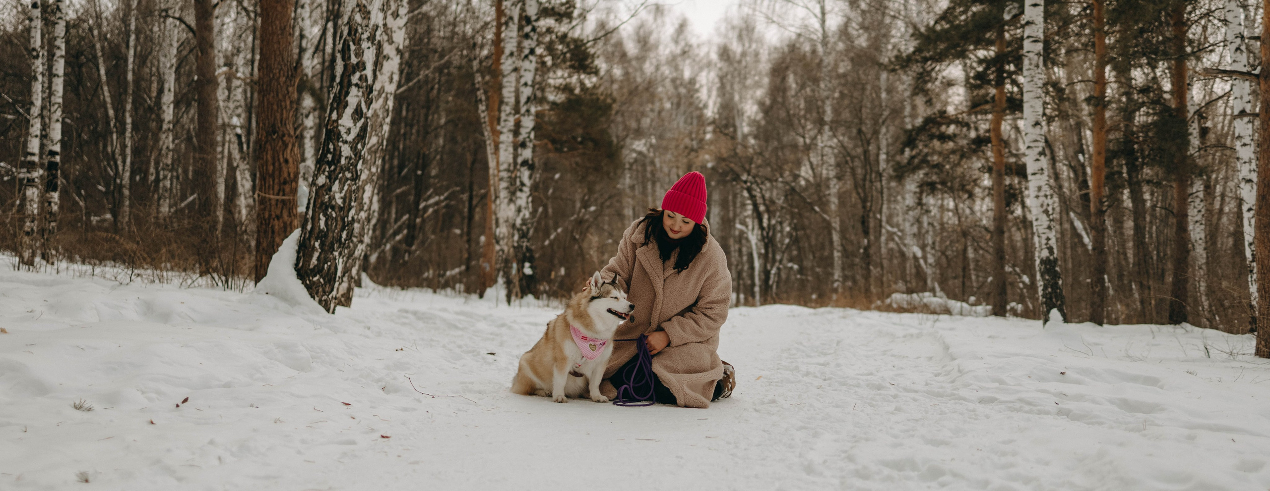 Варвара и Шелби. Фотограф-анималист в Екатеринбурге | Кристина