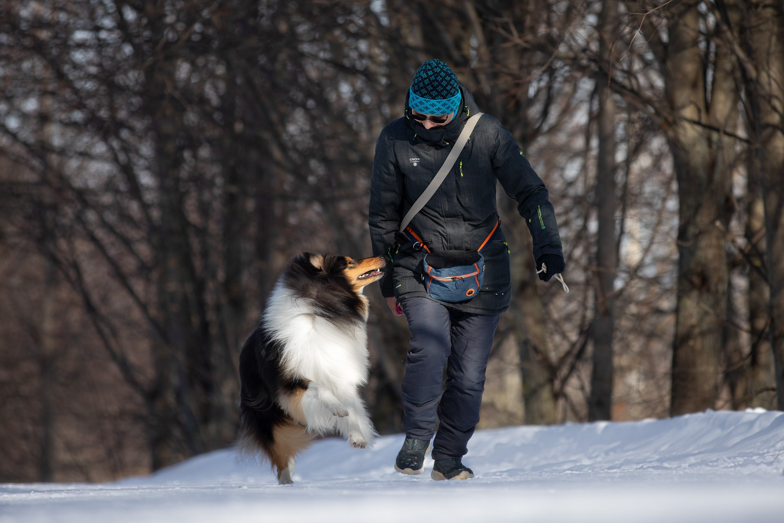 Фотопрогулка с собаками в Царицыно. Фотограф-анималист в Москве и Московской области Татьяна Фролова